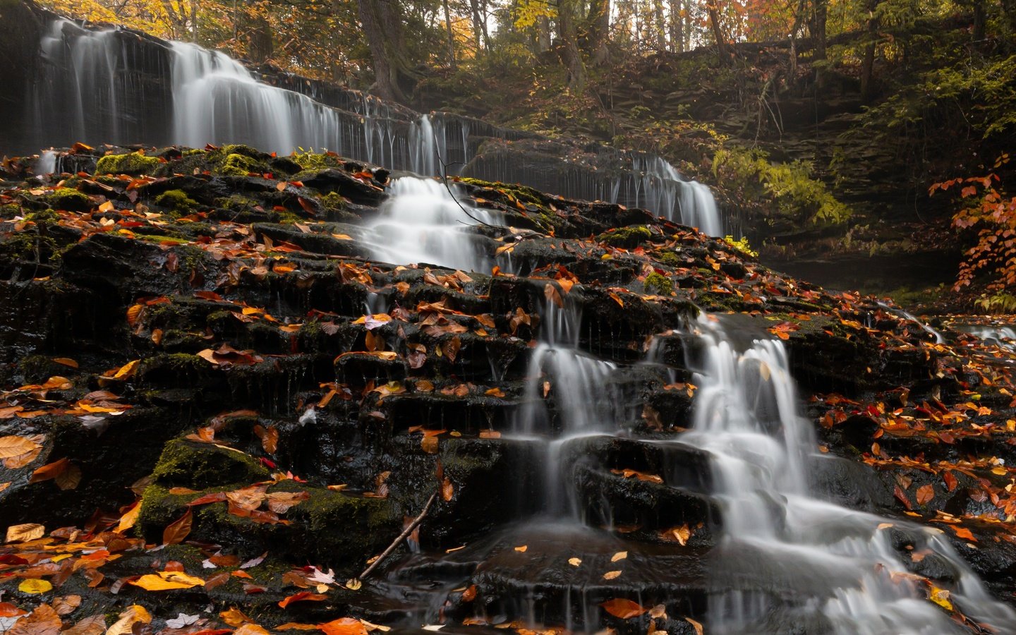 Обои деревья, природа, камни, лес, листья, водопад, сша, trees, nature, stones, forest, leaves, waterfall, usa разрешение 3715x2477 Загрузить