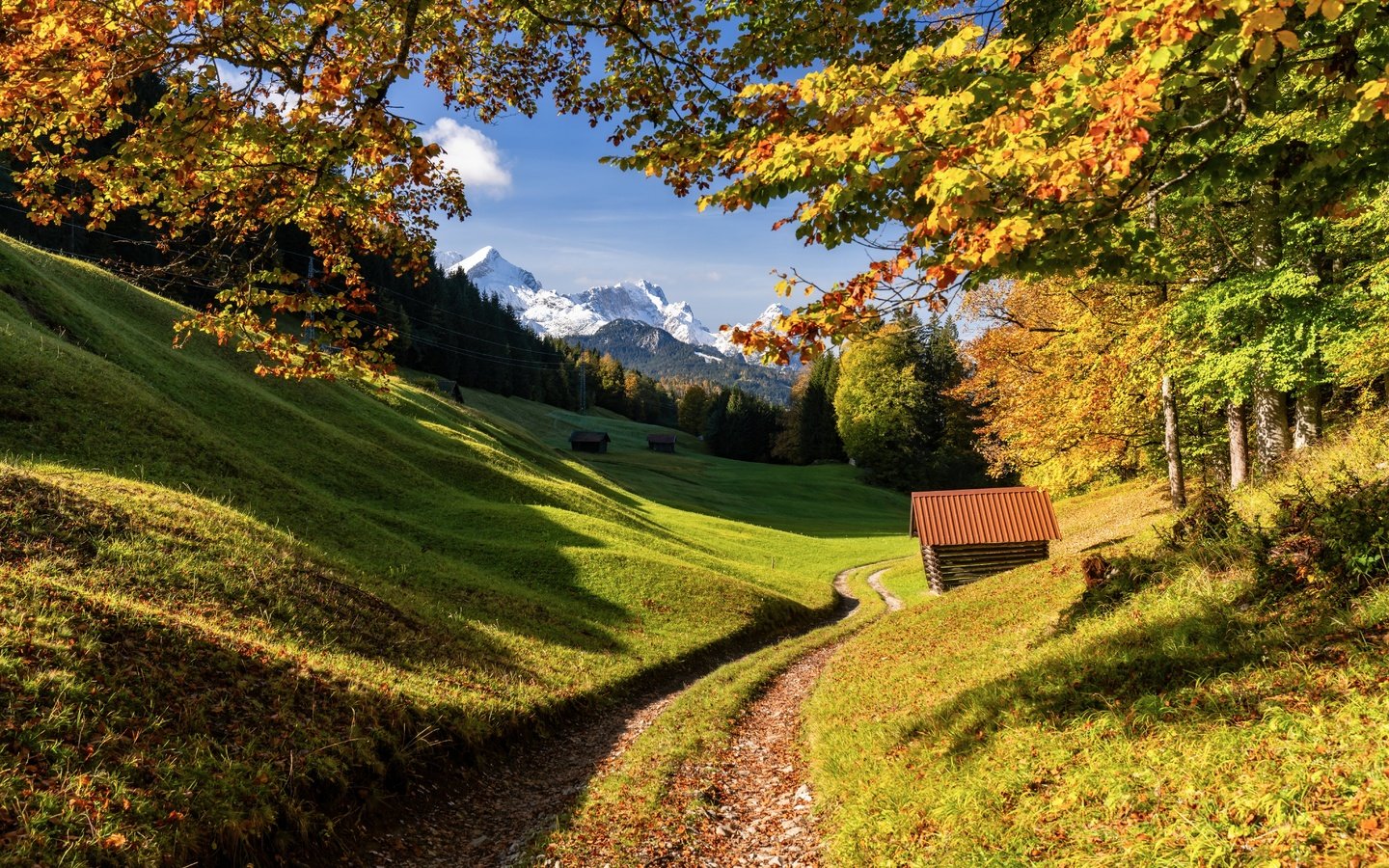 Обои дорога, деревья, горы, лес, осень, германия, бавария, road, trees, mountains, forest, autumn, germany, bayern разрешение 6144x4096 Загрузить