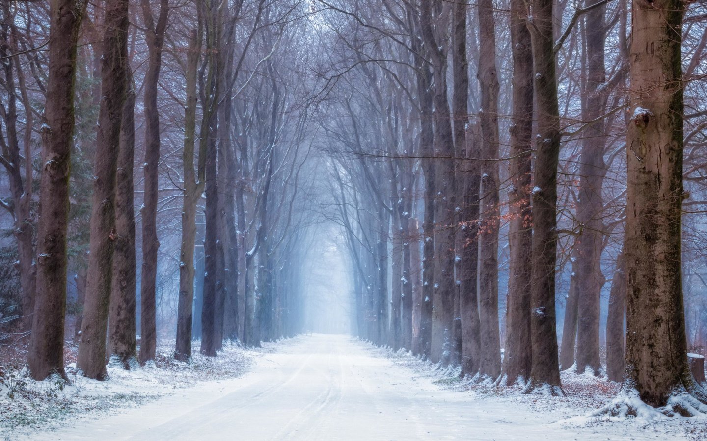 Обои дорога, лес, зима, road, forest, winter разрешение 3840x2160 Загрузить