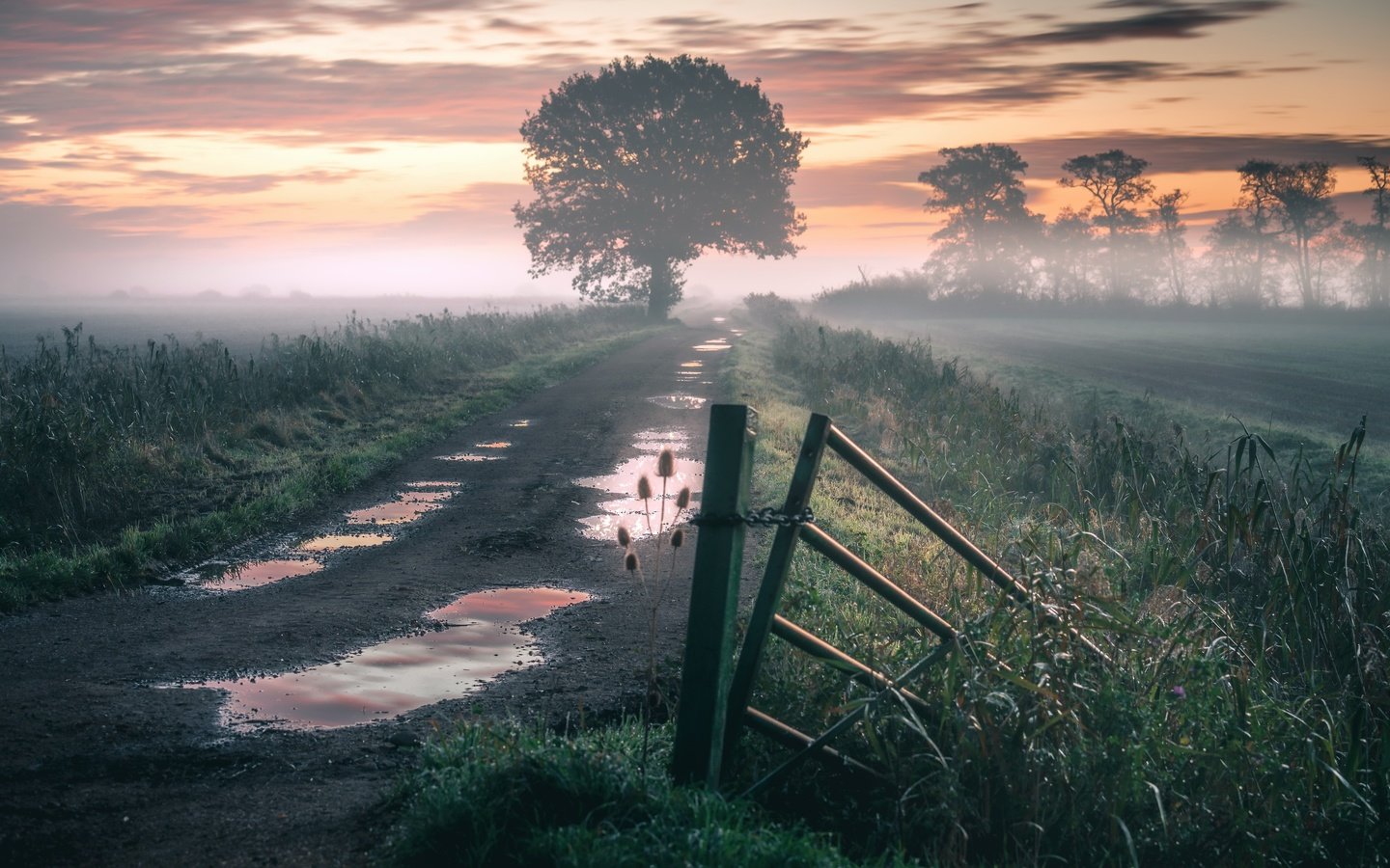 Обои дорога, природа, туман, road, nature, fog разрешение 3840x2160 Загрузить