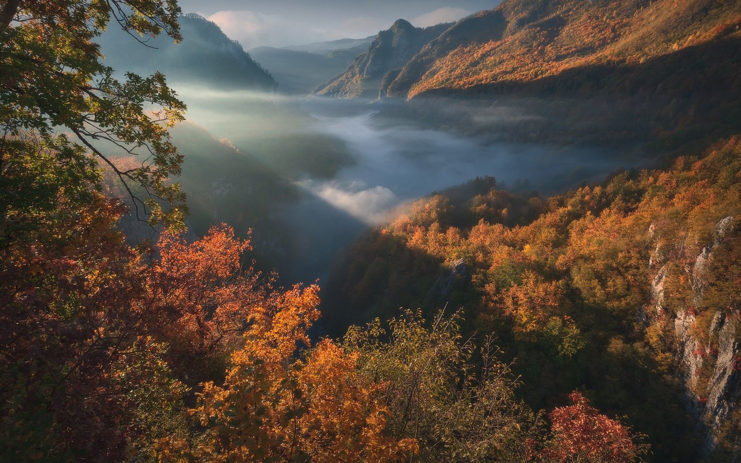 Обои горы, лес, осень, ущелье, черногория, mountains, forest, autumn, gorge, montenegro разрешение 1920x1280 Загрузить