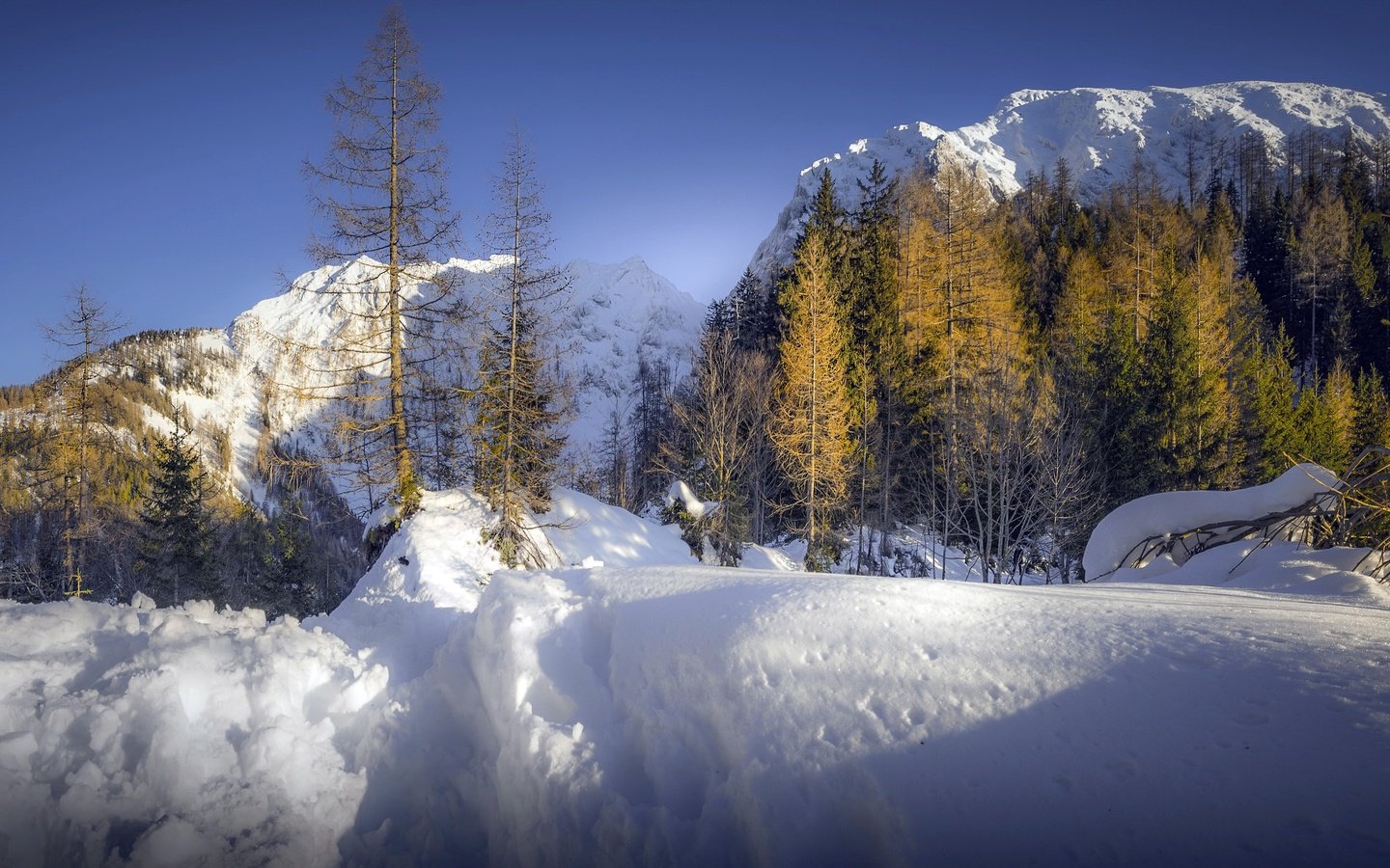 Обои горы, снег, лес, mountains, snow, forest разрешение 3053x1705 Загрузить