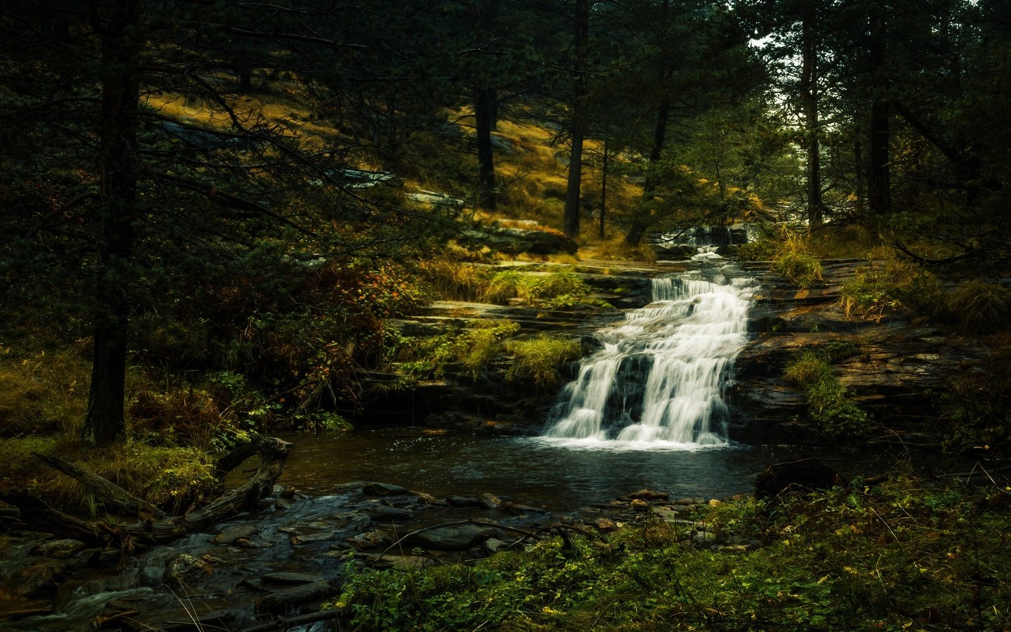 Обои камни, лес, ветки, водопад, полумрак, stones, forest, branches, waterfall, twilight разрешение 3840x2160 Загрузить