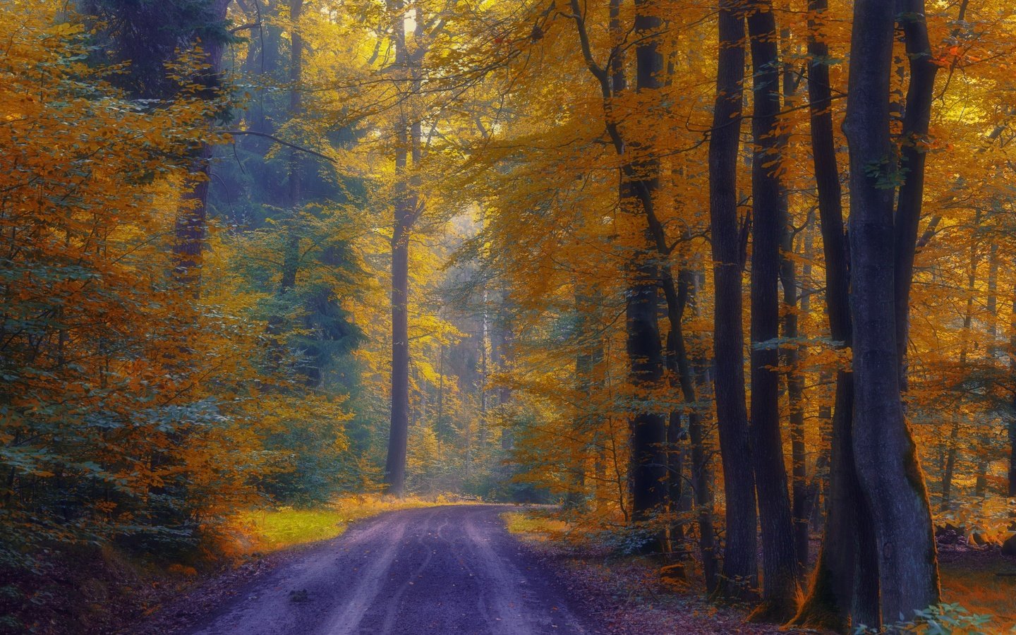 Обои дорога, деревья, лес, осень, road, trees, forest, autumn разрешение 3840x2160 Загрузить