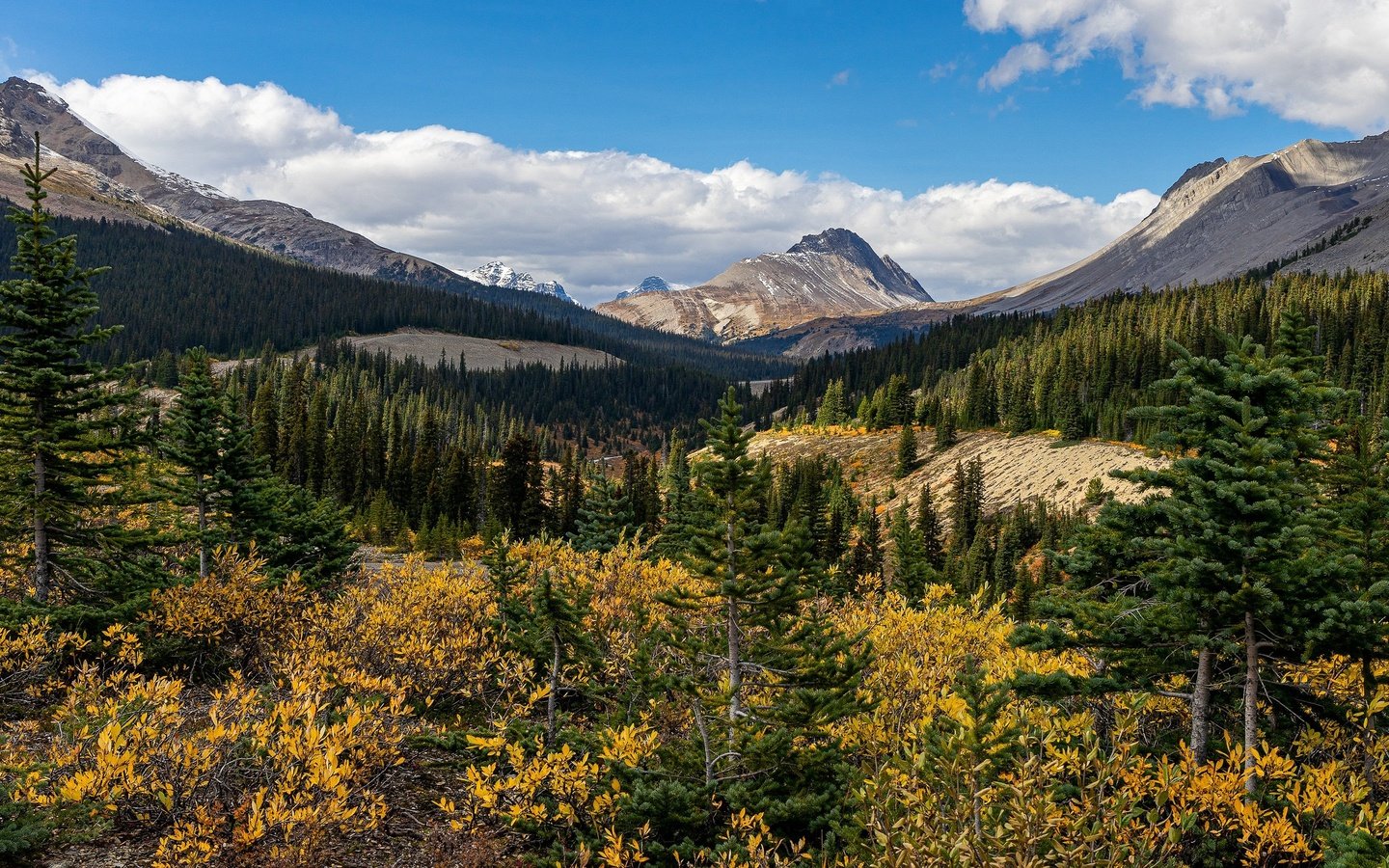 Обои облака, горы, лес, осень, вершины, ели, кустарники, clouds, mountains, forest, autumn, tops, ate, shrubs разрешение 3840x2160 Загрузить