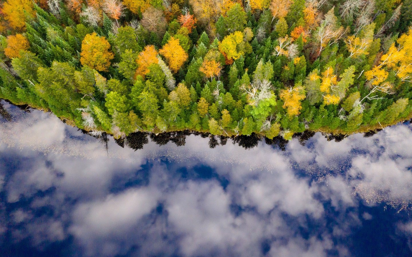 Обои река, лес, отражение, осень, river, forest, reflection, autumn разрешение 3000x1999 Загрузить