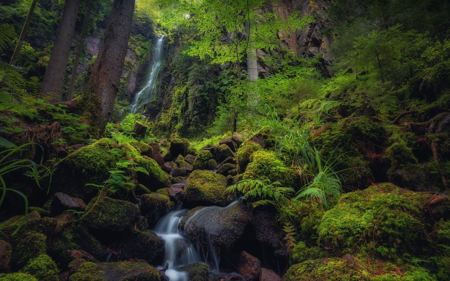 Обои река, природа, river, nature разрешение 2048x1300 Загрузить