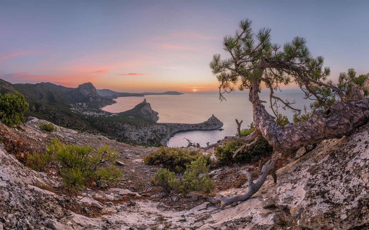 Обои скалы, крым, природа, пейзаж, море, утро, рассвет, осень, сосна, rocks, crimea, nature, landscape, sea, morning, dawn, autumn, pine разрешение 1980x1115 Загрузить