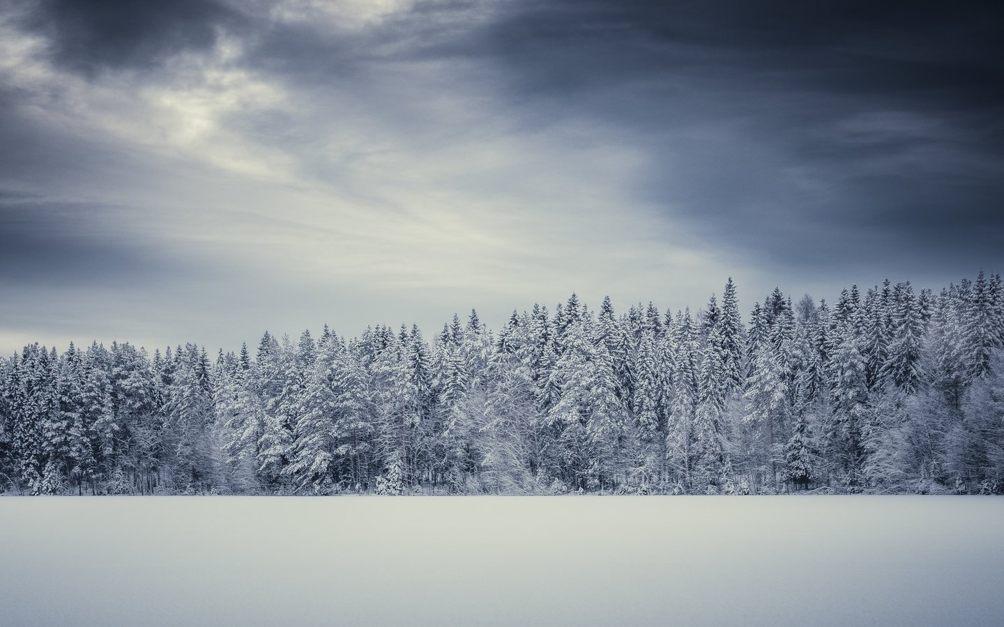 Обои снег, зима, поле, snow, winter, field разрешение 2048x1152 Загрузить