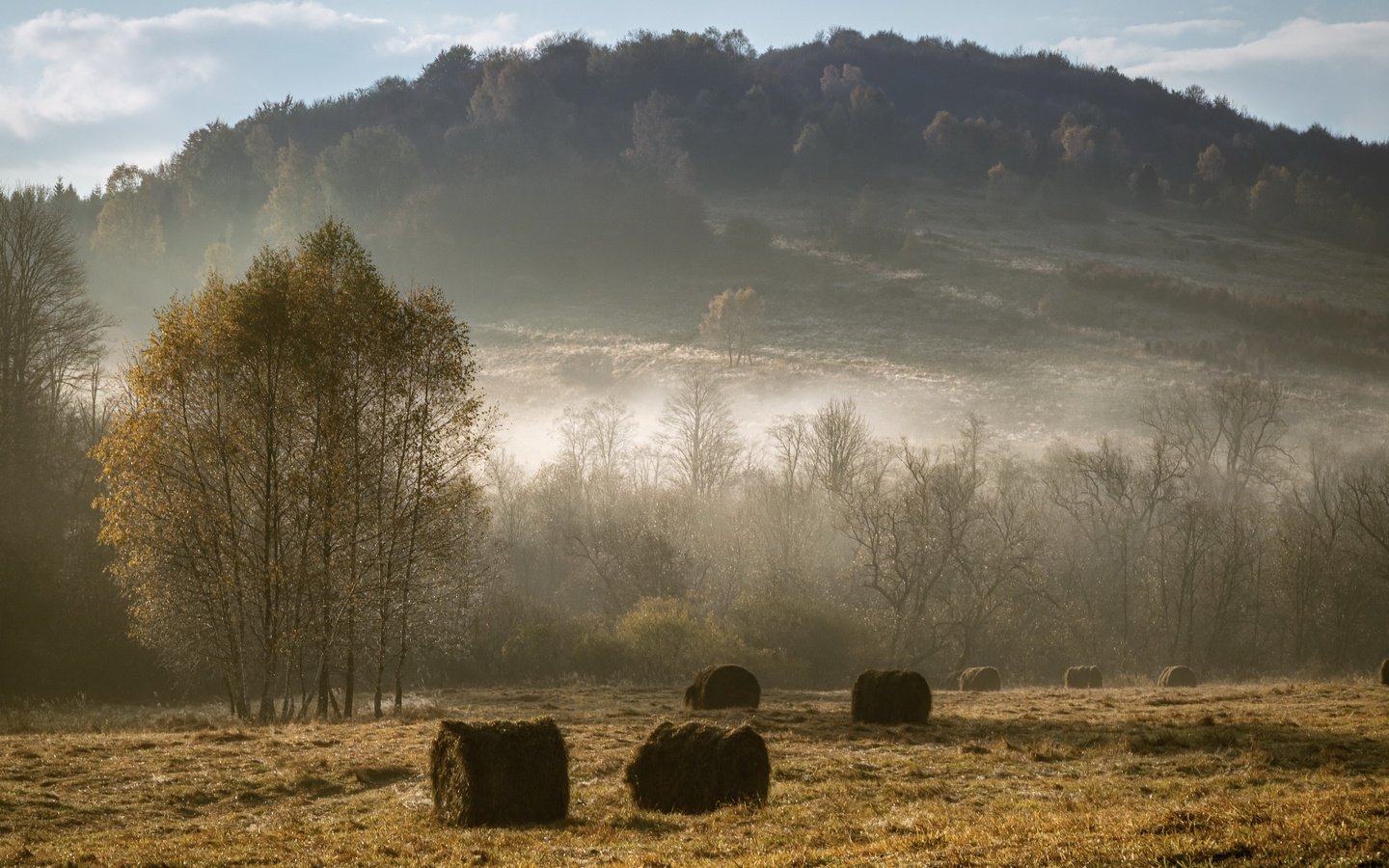 Обои туман, поле, сено, осень, fog, field, hay, autumn разрешение 3840x2160 Загрузить