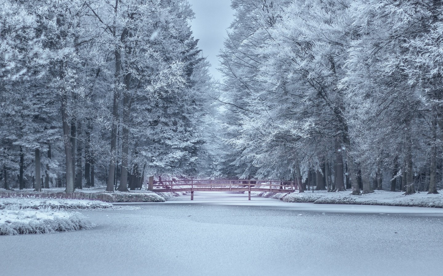 Обои деревья, парк, озеро, иней, снег, пруд, природа, берег, мостик, лес, зима, trees, park, lake, frost, snow, pond, nature, shore, the bridge, forest, winter разрешение 3840x2160 Загрузить