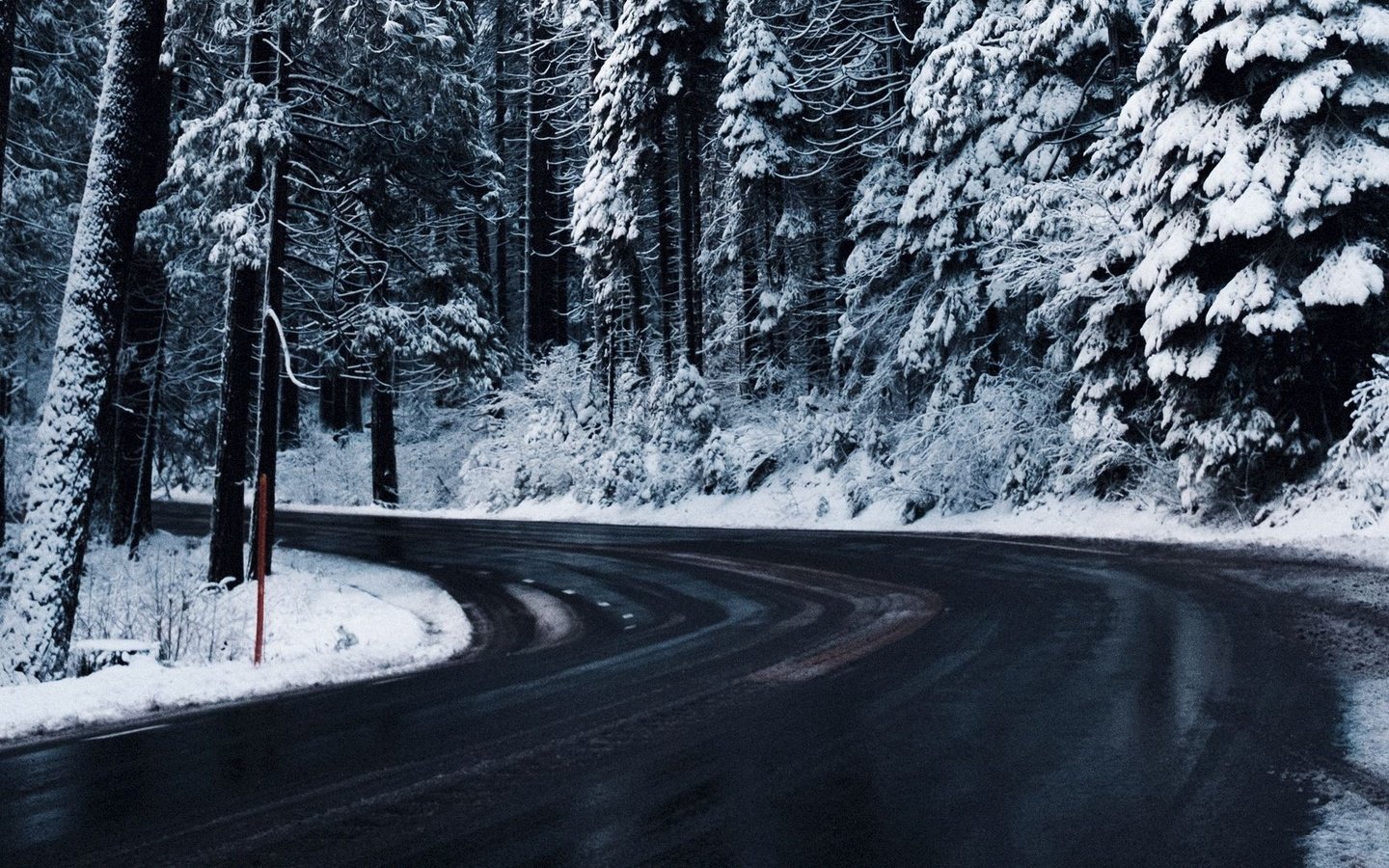 Обои дорога, деревья, снег, зима, road, trees, snow, winter разрешение 1920x1080 Загрузить