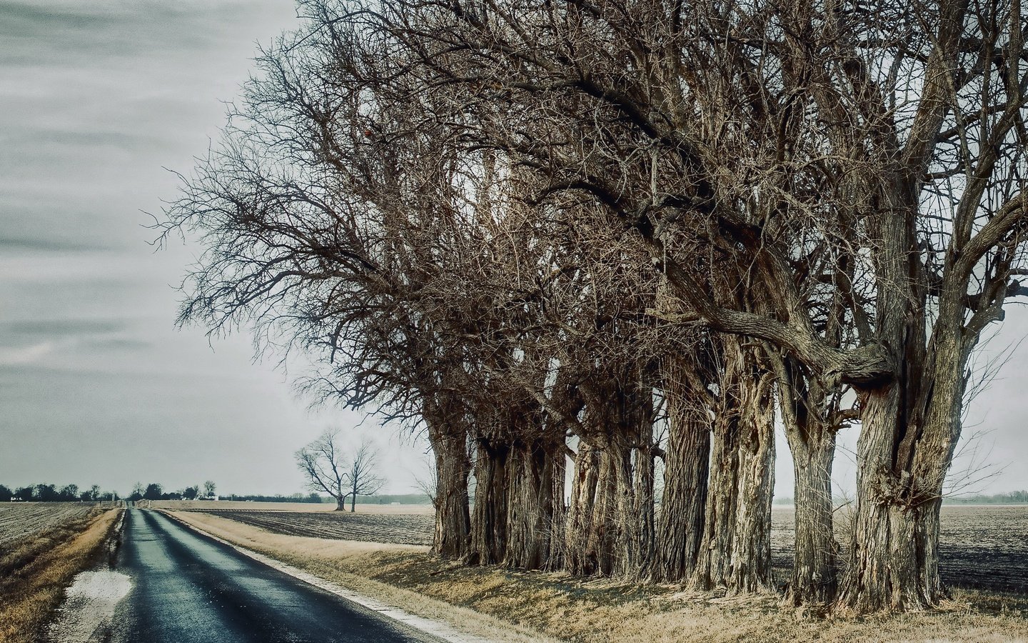 Обои дорога, деревья, road, trees разрешение 3840x2160 Загрузить