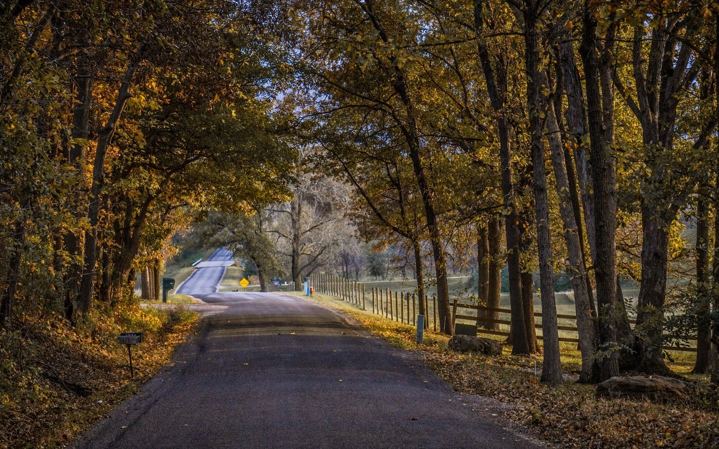 Обои дорога, осень, road, autumn разрешение 3840x2160 Загрузить