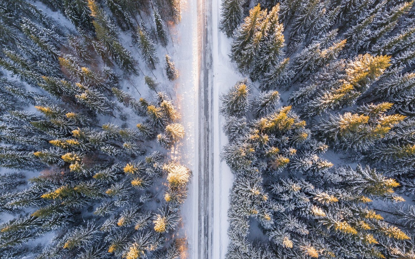 Обои дорога, снег, лес, зима, ели, road, snow, forest, winter, ate разрешение 3840x2160 Загрузить