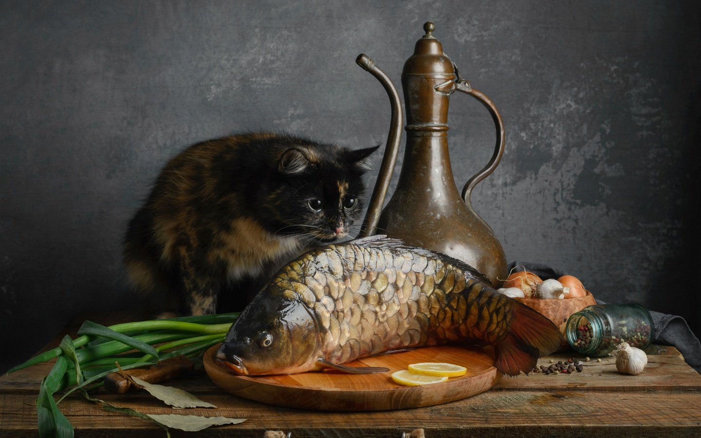Обои кот, кошка, рыба, карп, cat, fish, carp разрешение 2500x1905 Загрузить