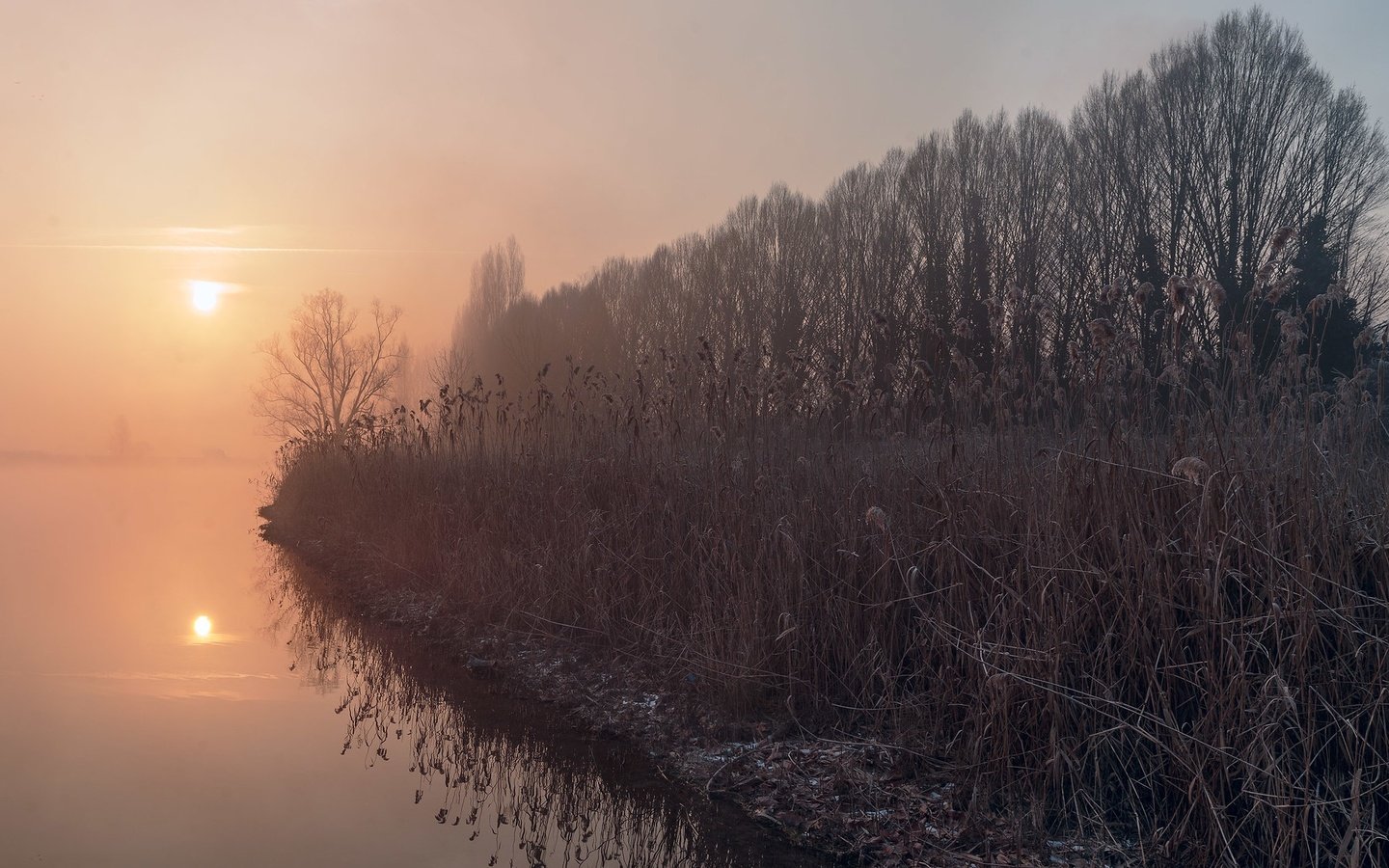 Обои озеро, туман, осень, камыш, lake, fog, autumn, reed разрешение 2048x1365 Загрузить