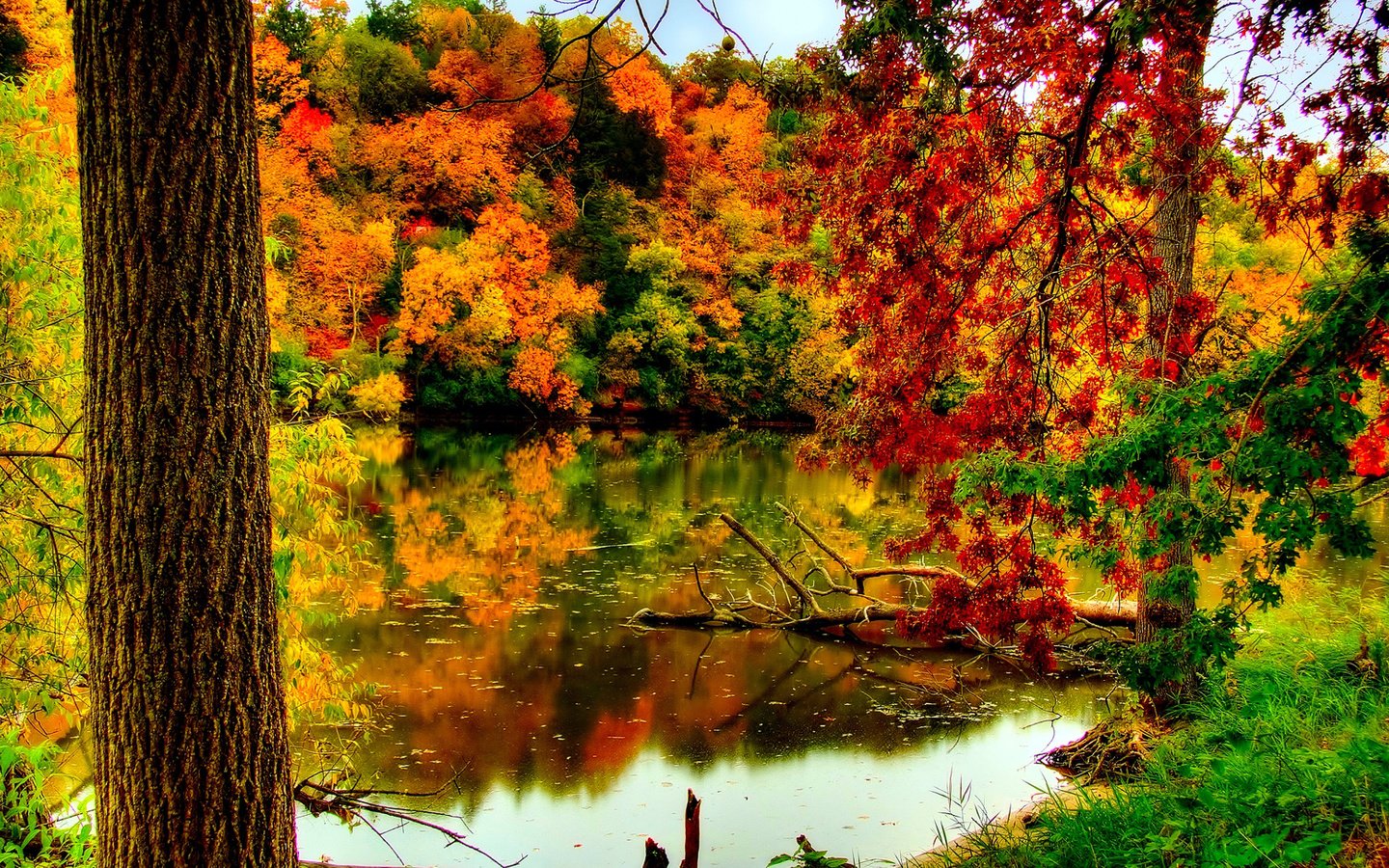 Обои река, природа, лес, листва, осень, river, nature, forest, foliage, autumn разрешение 1920x1080 Загрузить