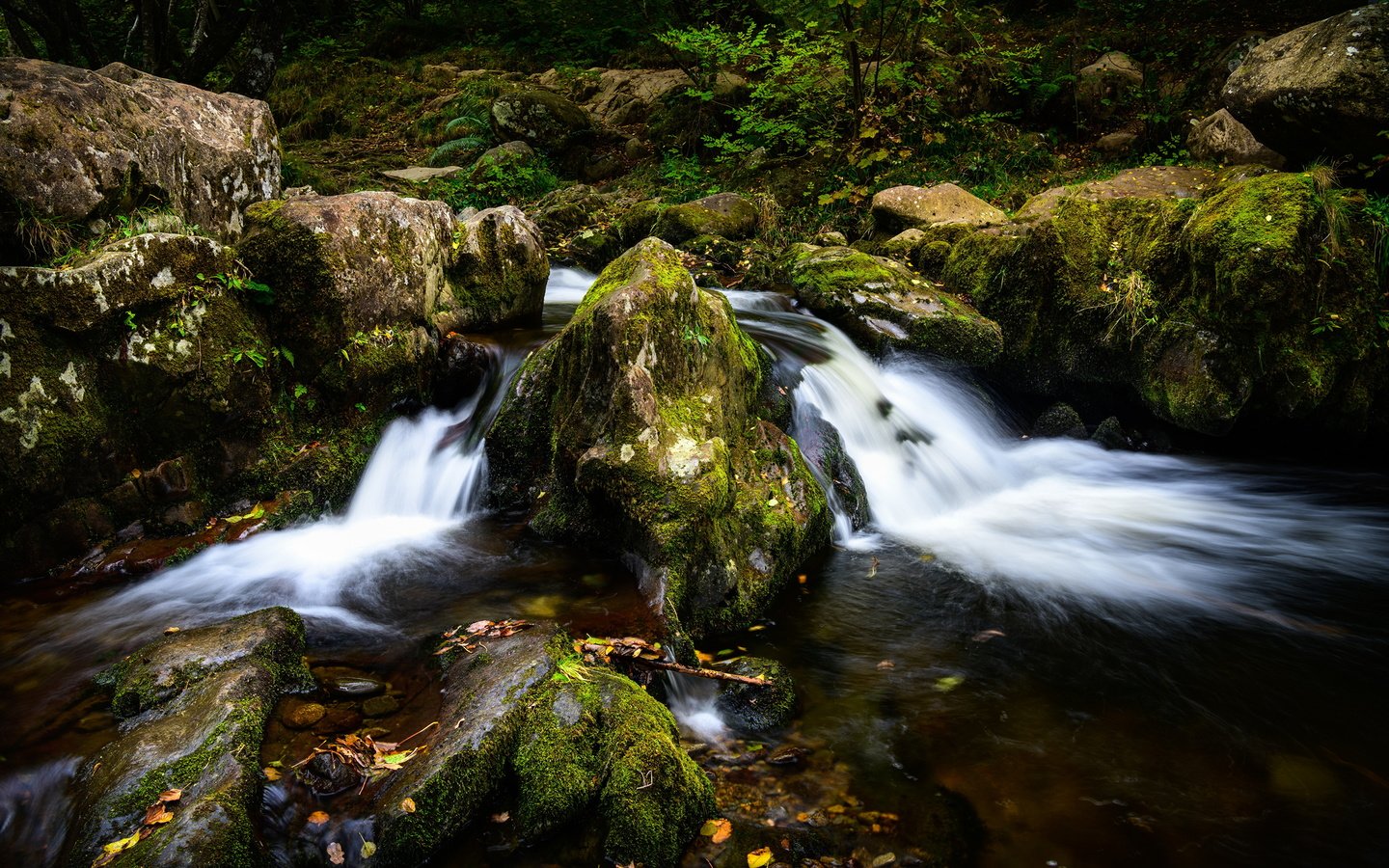 Обои вода, река, камни, ручей, мох, water, river, stones, stream, moss разрешение 3840x2559 Загрузить