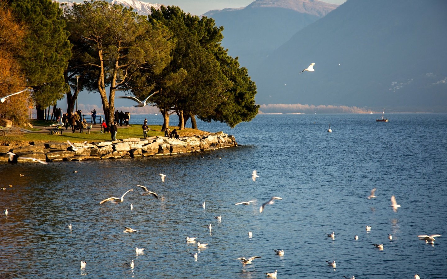 Обои озеро, швейцария, маджоре, lake, switzerland, maggiore разрешение 2047x1365 Загрузить