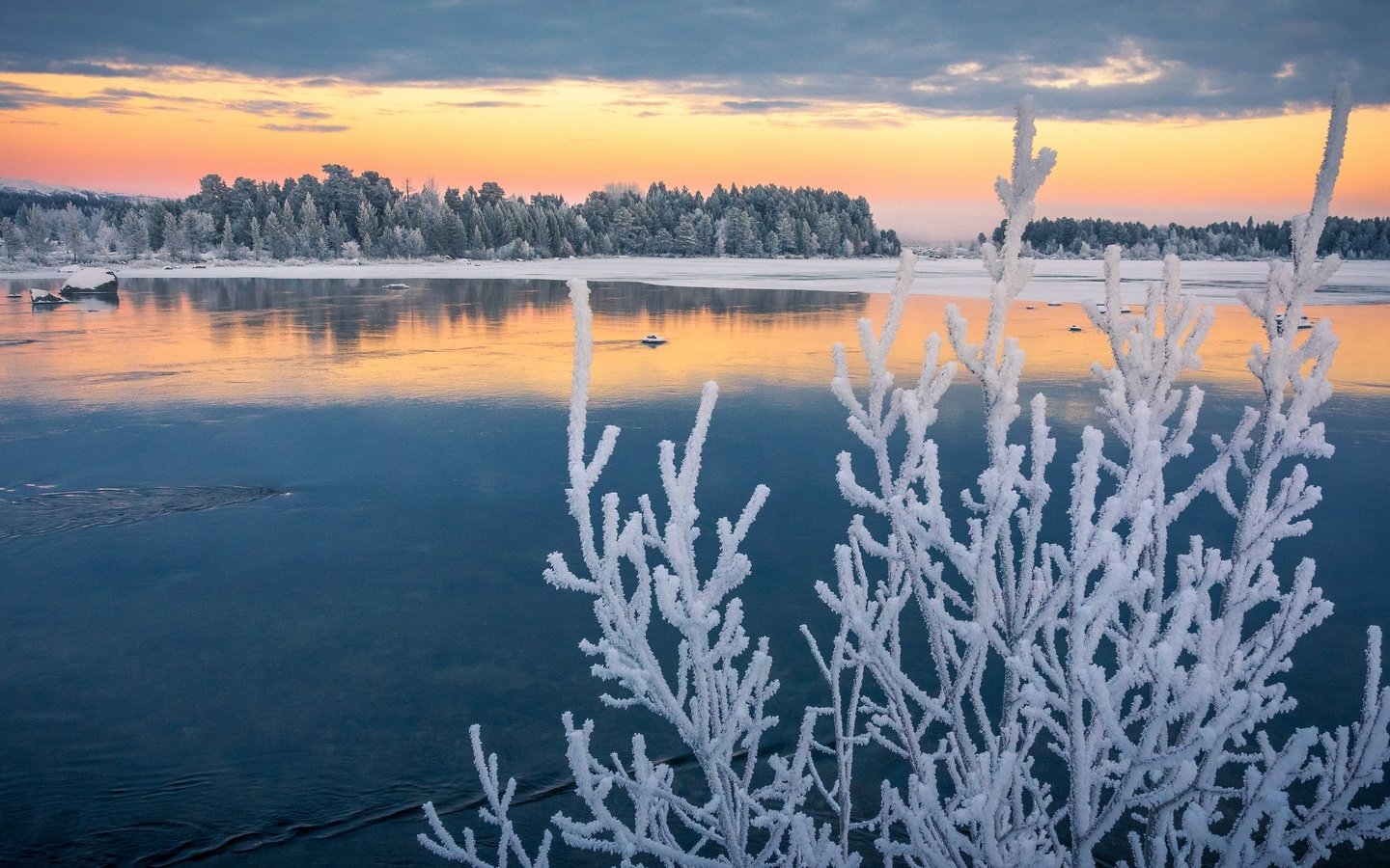 Обои озеро, ветки, иней, осень, швеция, ноябрь, лапландия, изморозь, lake, branches, frost, autumn, sweden, november, lapland разрешение 2048x1362 Загрузить