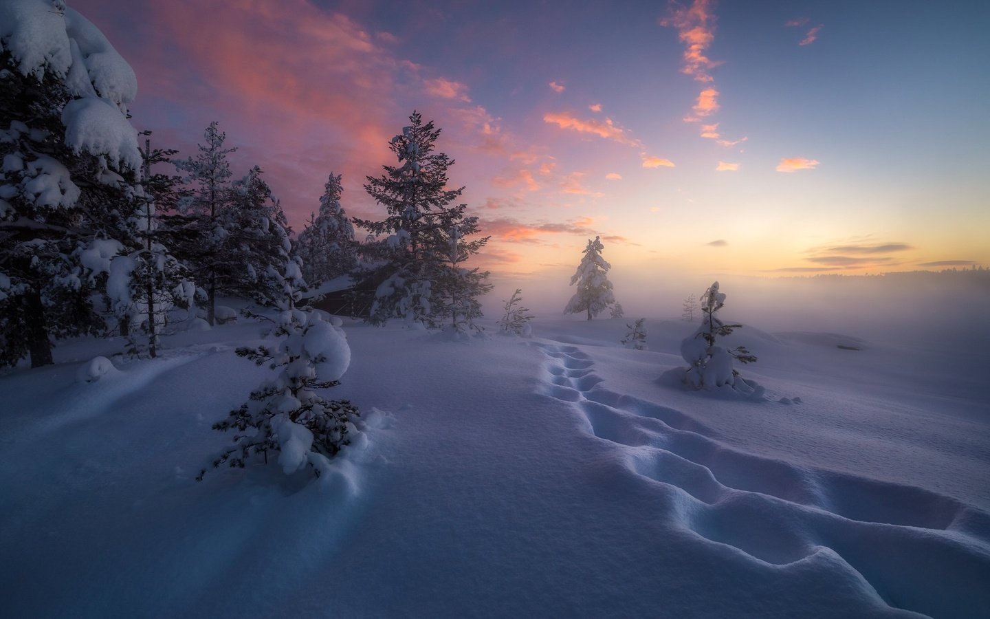 Обои деревья, снег, зима, следы, сугробы, норвегия, рингерике, trees, snow, winter, traces, the snow, norway, ringerike разрешение 2048x1367 Загрузить