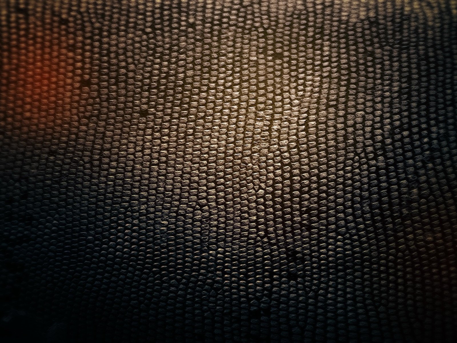 Обои свет, текстура, фон, тень, змея, кожа, light, texture, background, shadow, snake, leather разрешение 2560x1600 Загрузить