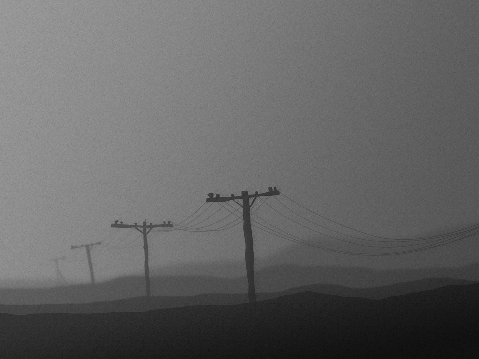 Обои провода, столбы, черно-белая, серый, wire, posts, black and white, grey разрешение 2560x1600 Загрузить