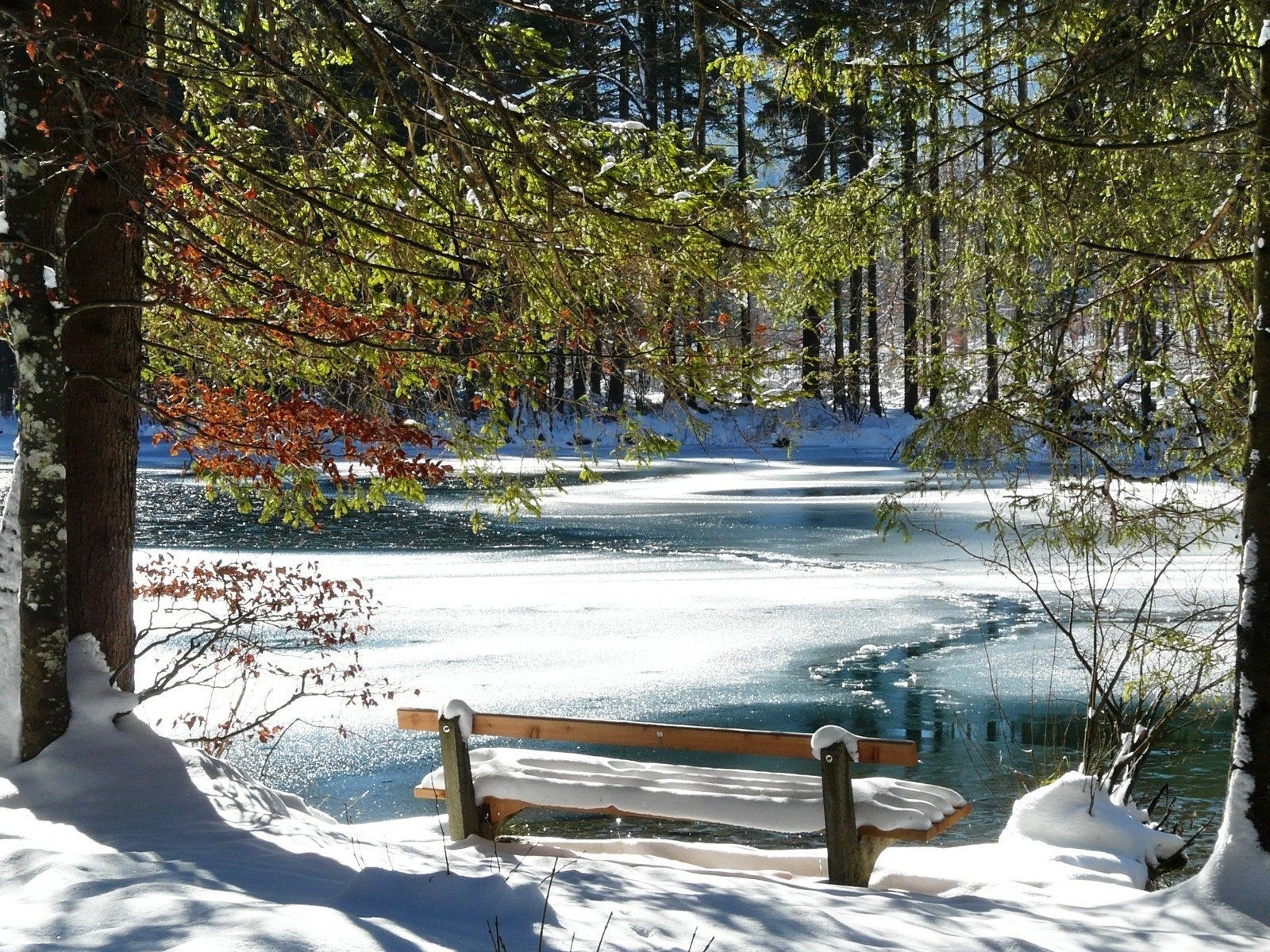 Обои деревья, река, снег, зима, холод, скамейка, романтик, trees, river, snow, winter, cold, bench, romantic разрешение 1920x1200 Загрузить