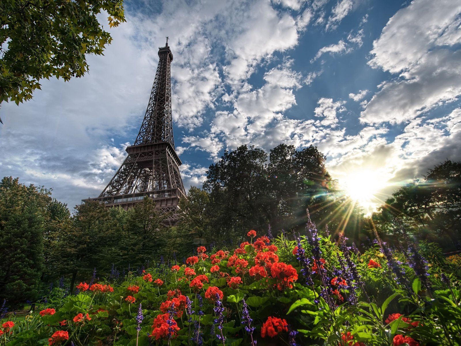 Обои цветы, деревья, солнце, париж, эйфелева башня, flowers, trees, the sun, paris, eiffel tower разрешение 4928x3352 Загрузить