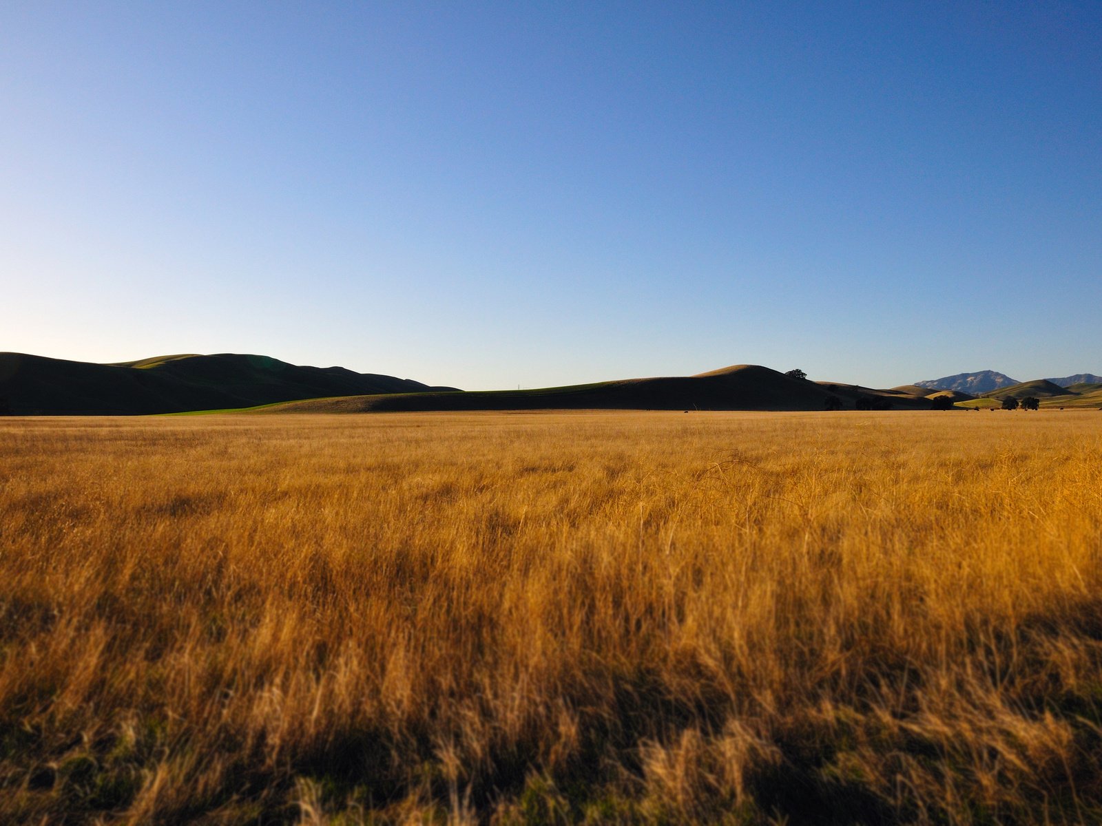 Обои небо, горы, поле, пшеница, the sky, mountains, field, wheat разрешение 4288x2848 Загрузить