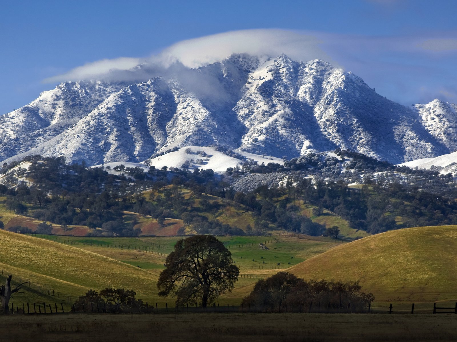 Обои природа, гора, калифорния, nature, mountain, ca разрешение 2560x1600 Загрузить