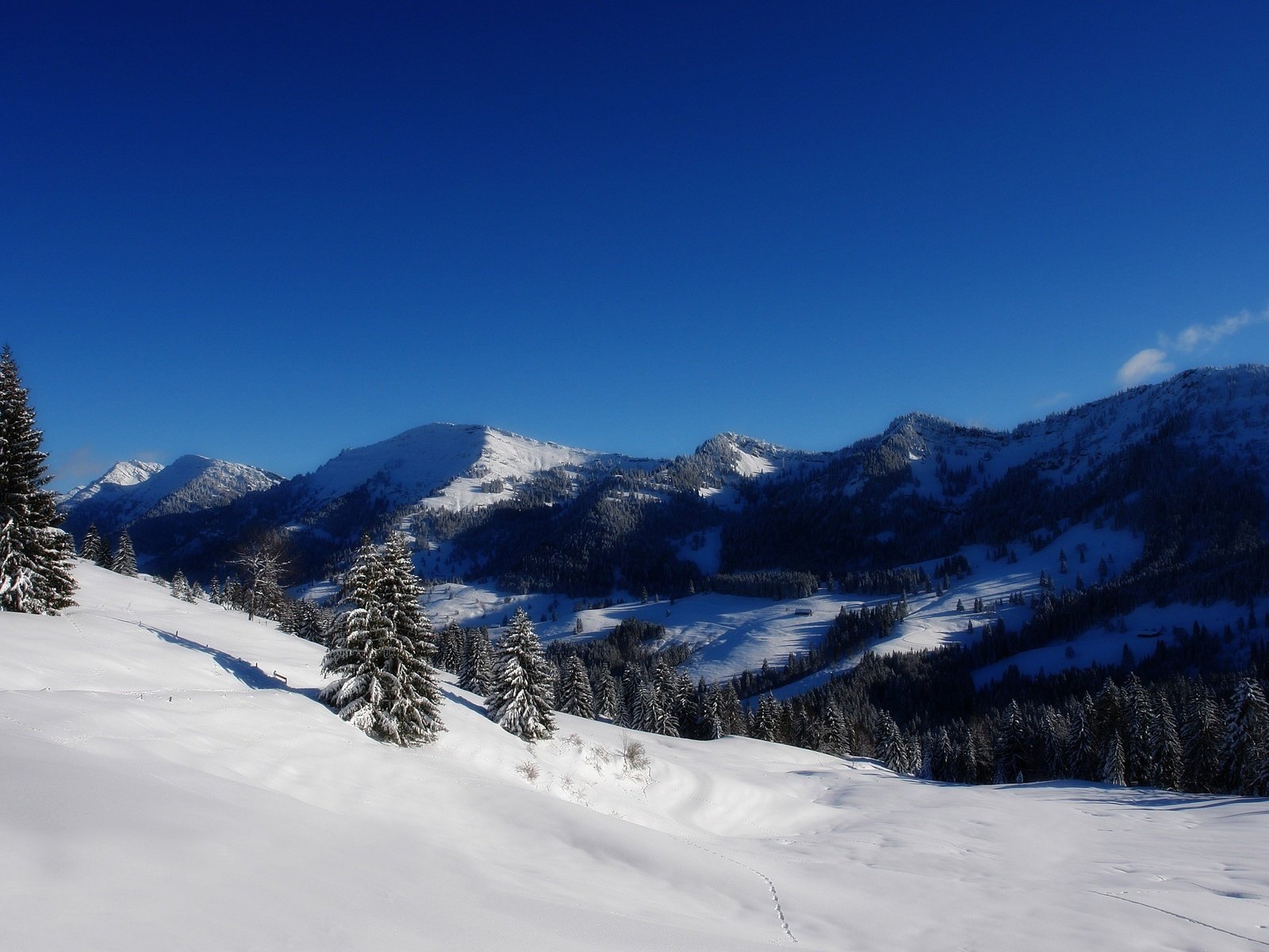 Обои деревья, горы, снег, зима, trees, mountains, snow, winter разрешение 2560x1600 Загрузить