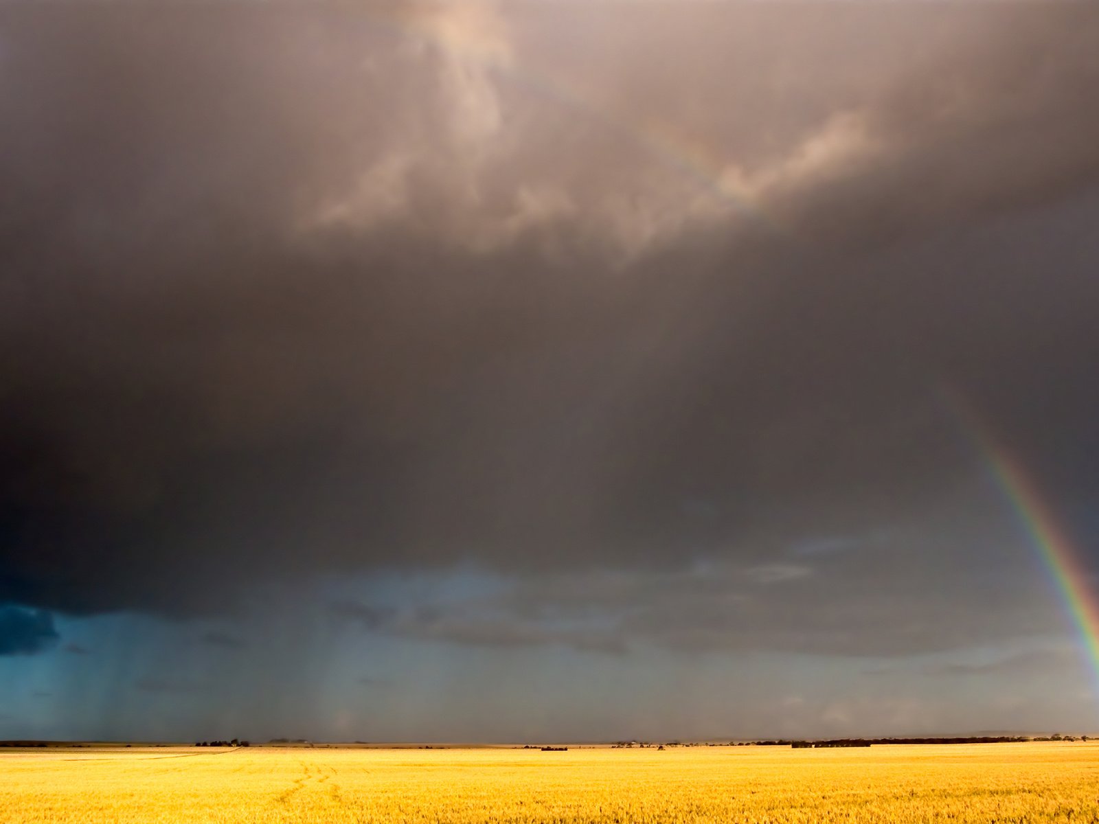 Обои небо, облака, поле, радуга, the sky, clouds, field, rainbow разрешение 2560x1600 Загрузить