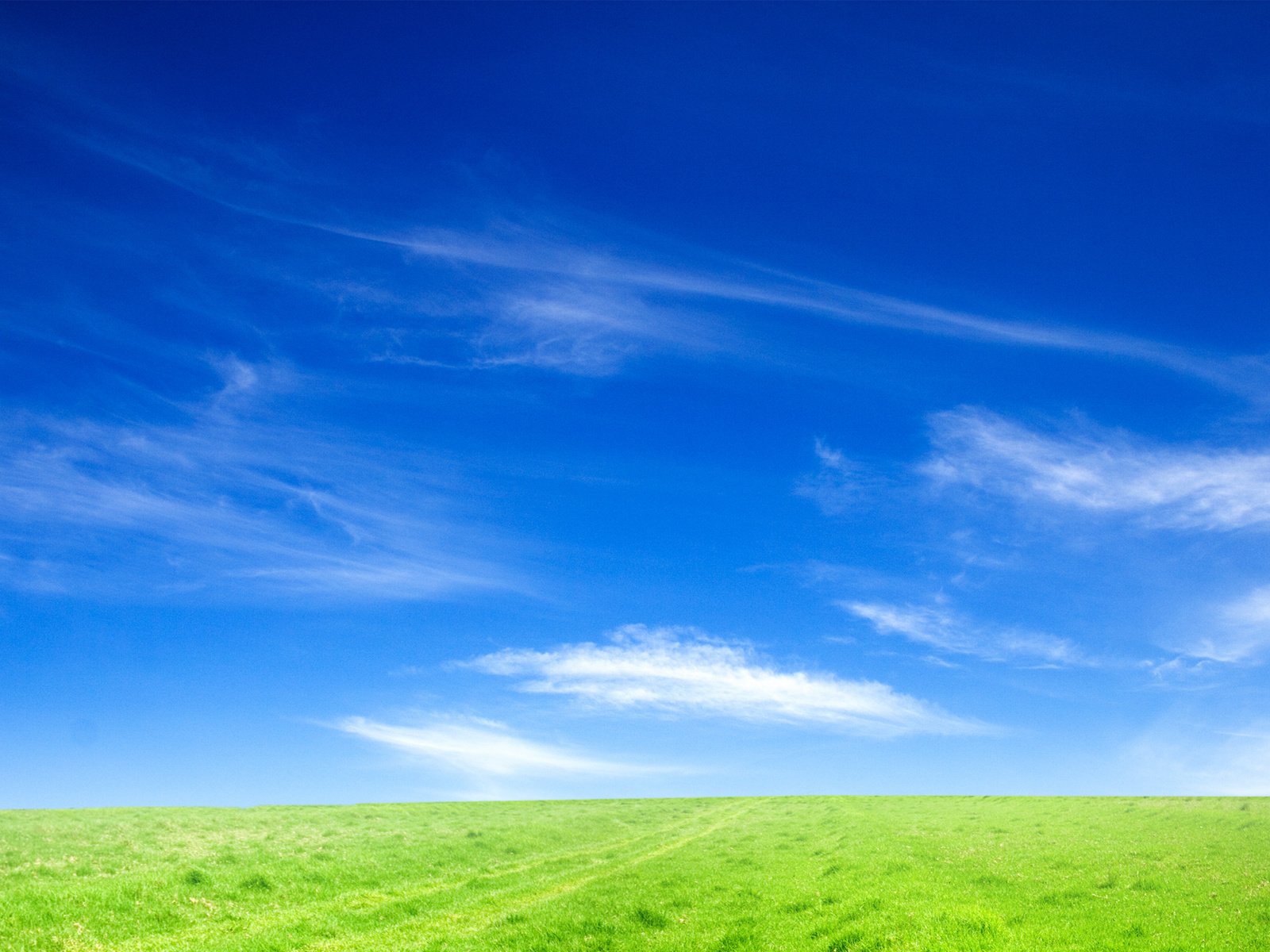 Обои небо, трава, природа, обои, поле, пейзажи, the sky, grass, nature, wallpaper, field, landscapes разрешение 2100x1254 Загрузить