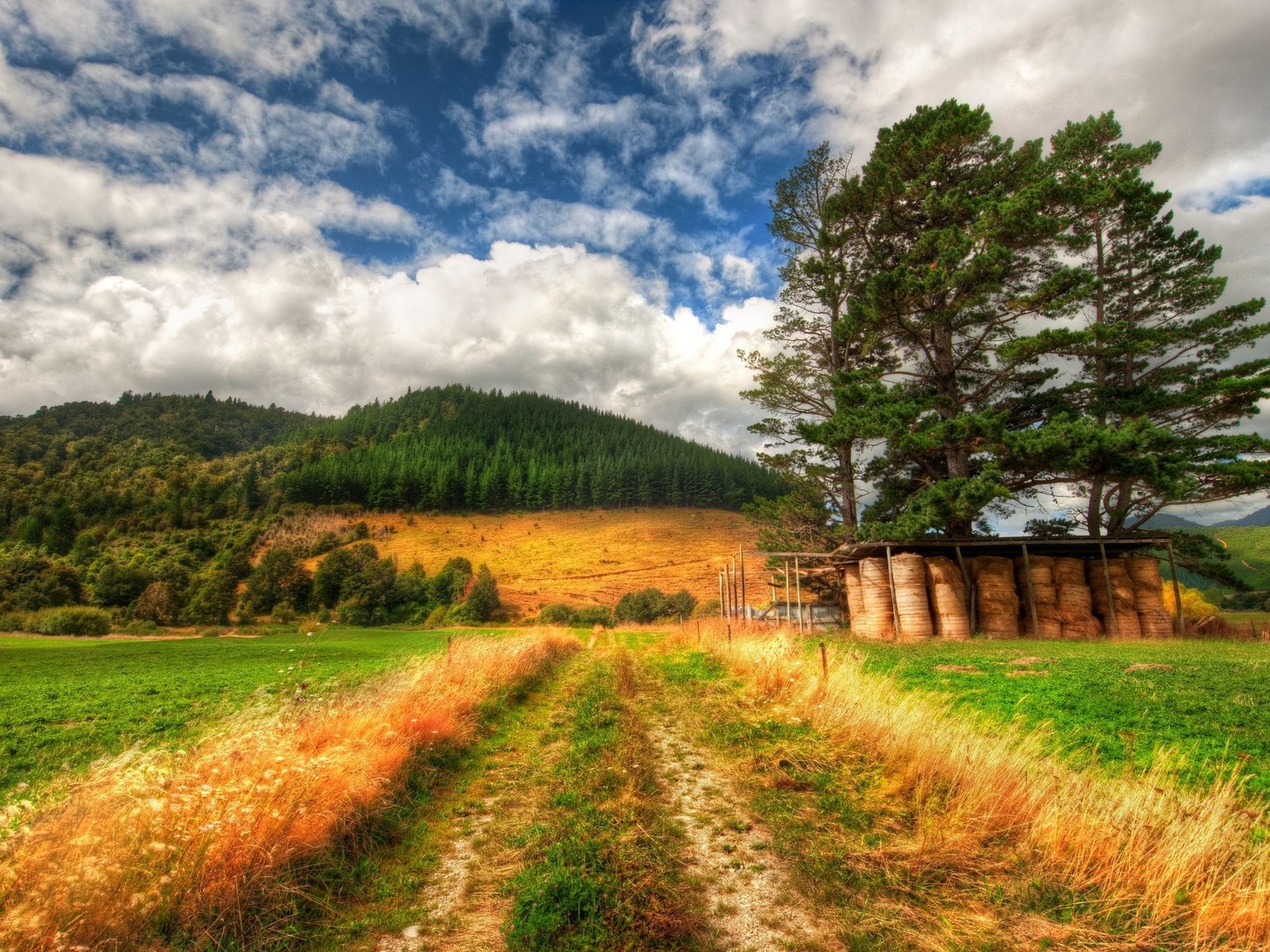 Обои небо, дорога, трава, облака, природа, лес, поле, трава.деревья, the sky, road, grass, clouds, nature, forest, field, grass.trees разрешение 2560x1600 Загрузить