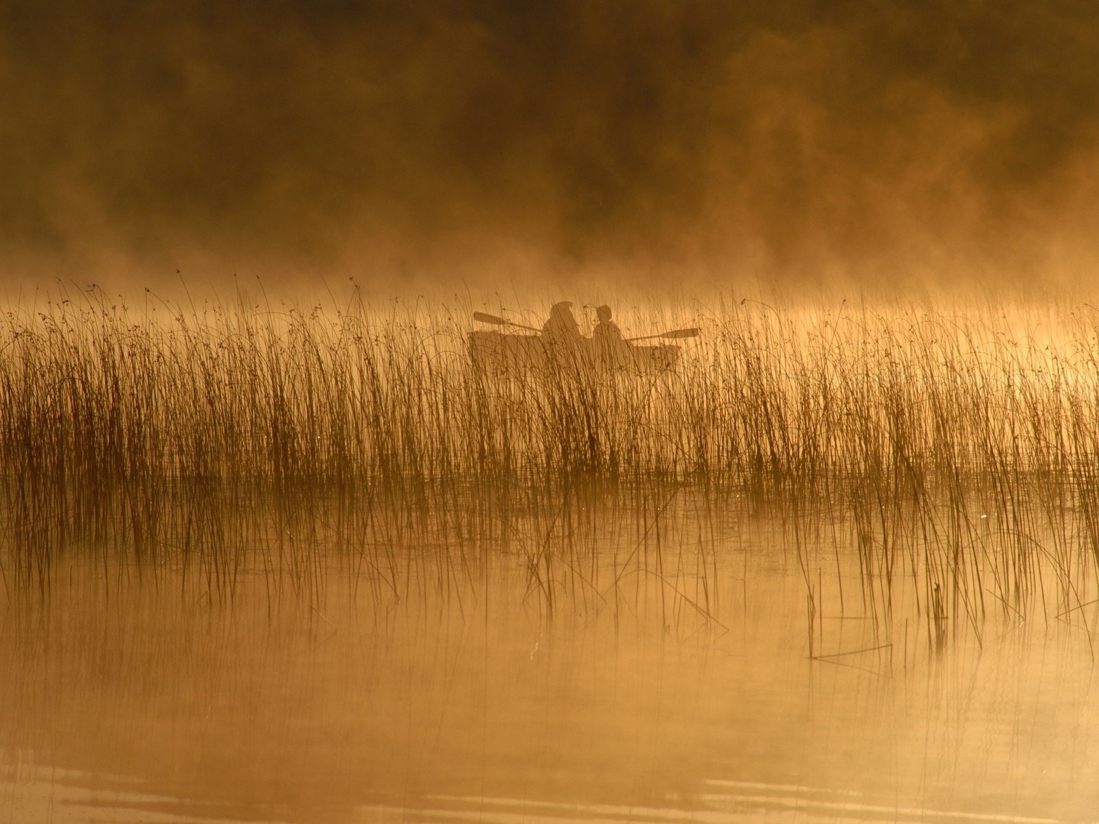 Обои река, людей, природа, рек, обои, пейзаж, туман, люди, лодка, lakes, камыш, reed, river, nature, rivers, wallpaper, landscape, fog, people, boat разрешение 1920x1200 Загрузить