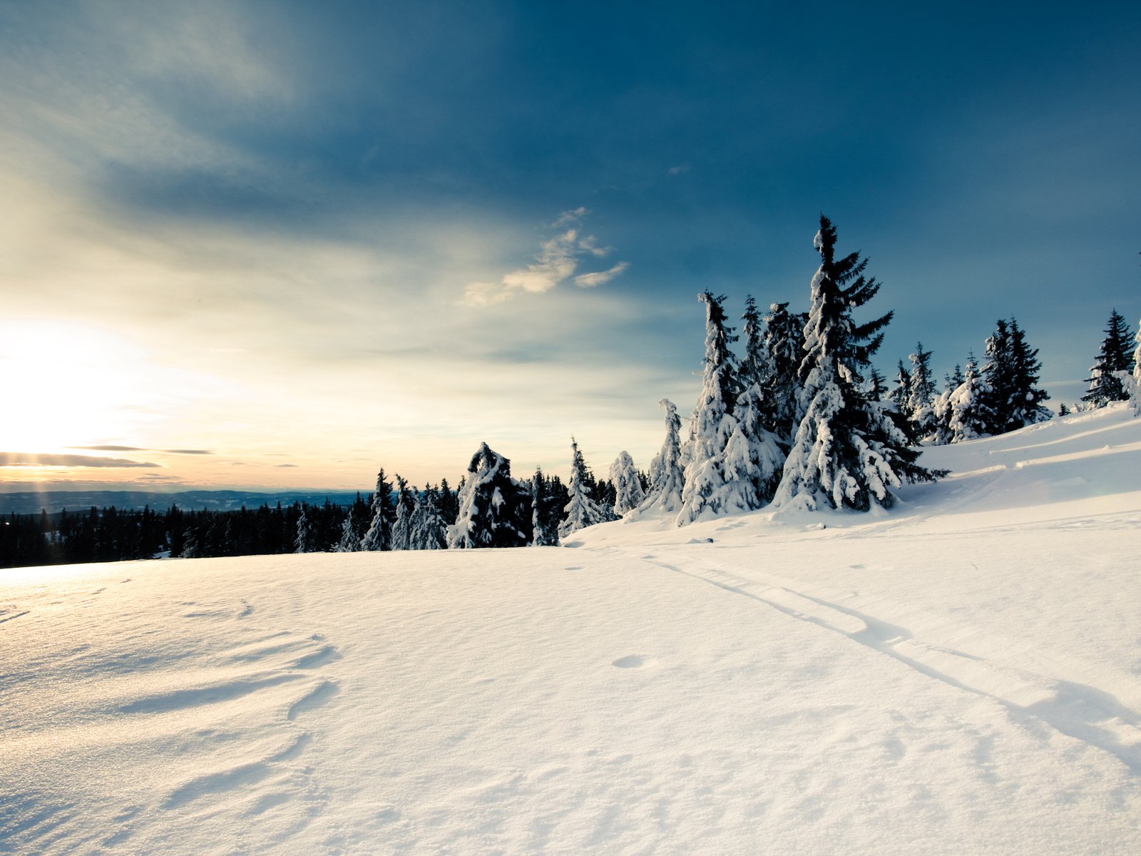 Обои небо, снег, лес, зима, the sky, snow, forest, winter разрешение 2560x1600 Загрузить