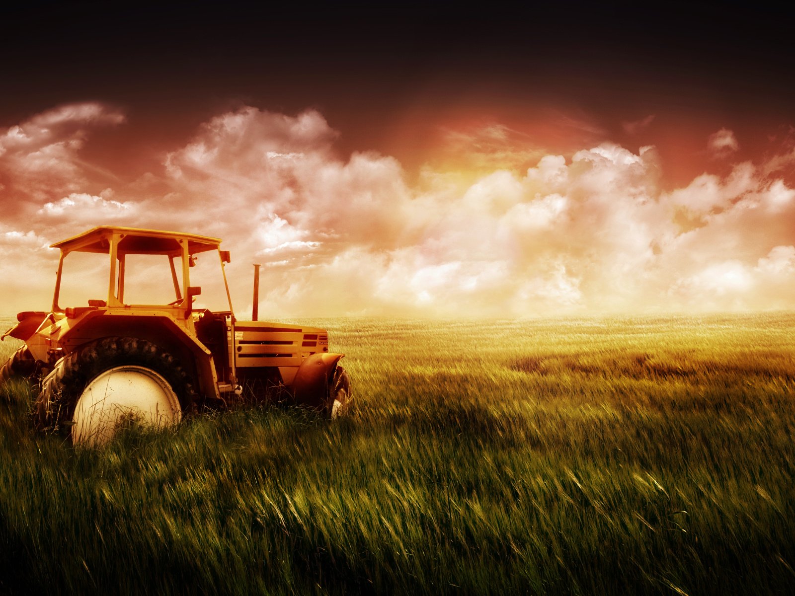 Обои небо, трава, поле, пшеница, трактор, the sky, grass, field, wheat, tractor разрешение 1920x1200 Загрузить