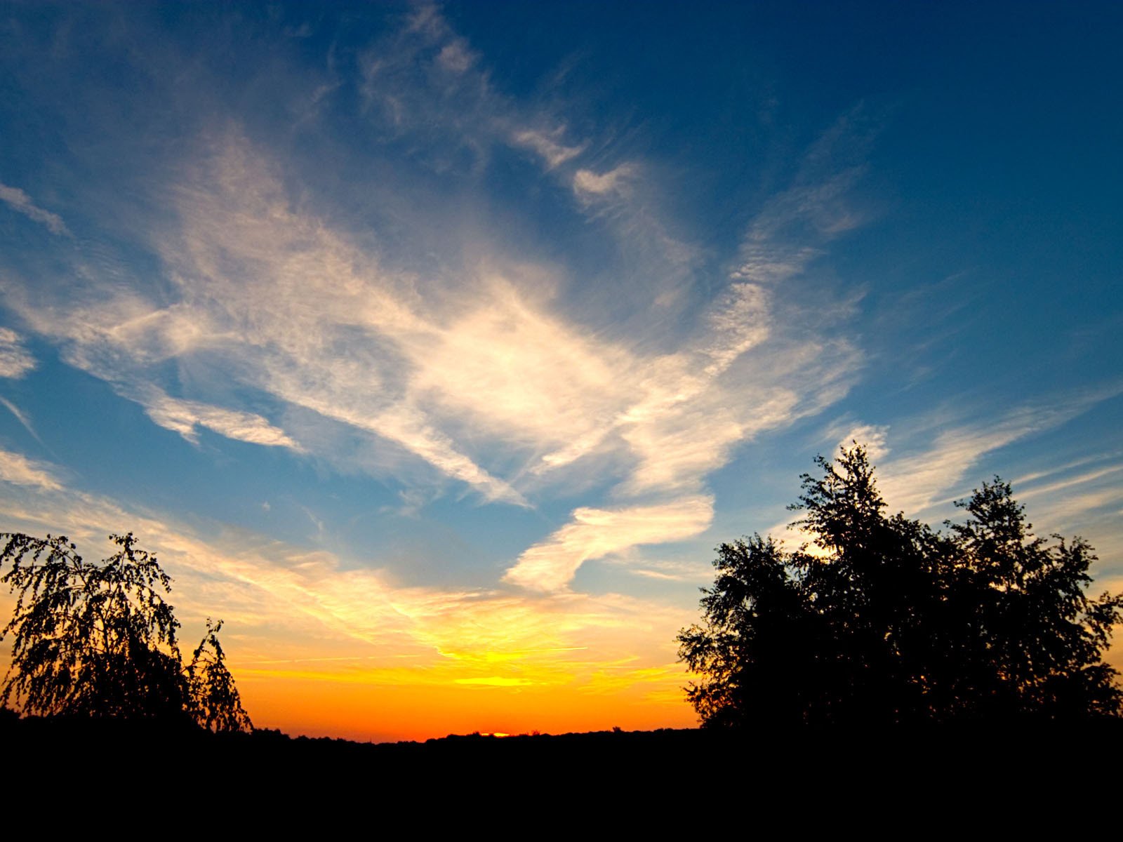 Обои облака, деревья, закат, clouds, trees, sunset разрешение 1920x1200 Загрузить