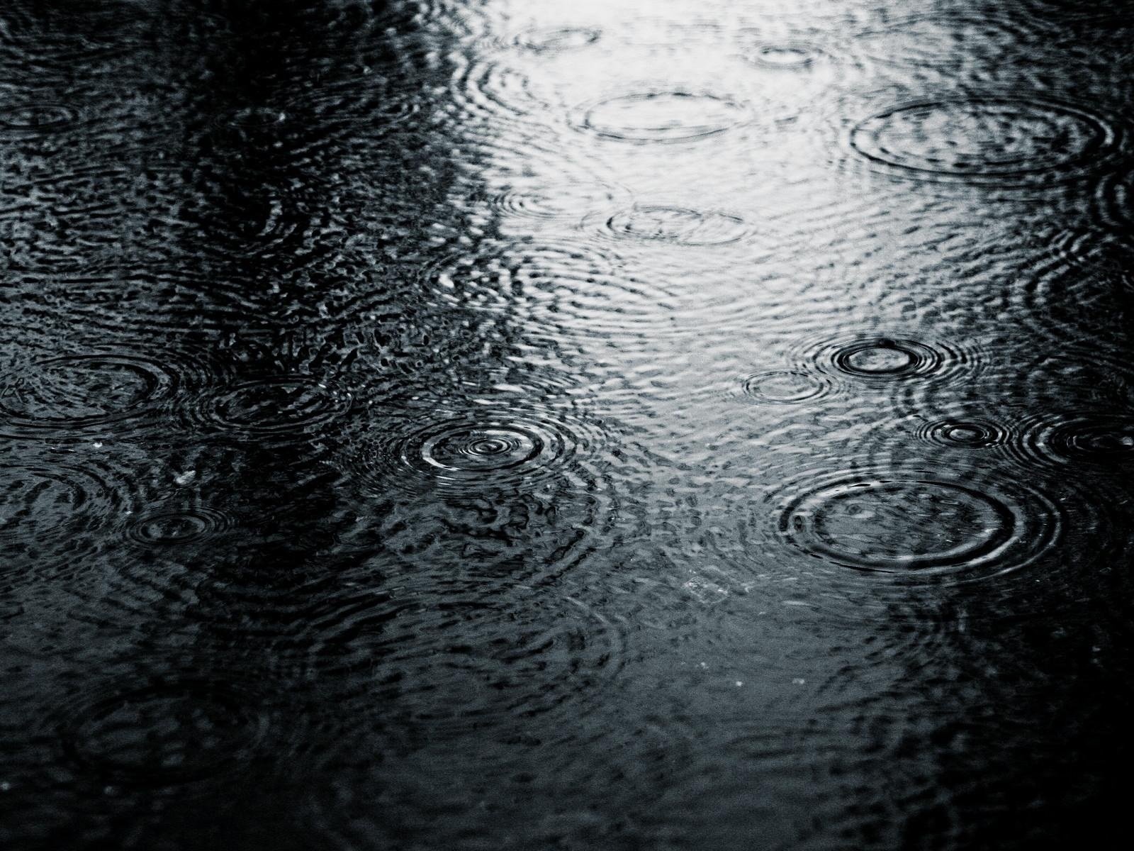 Обои природа, капли, чёрно-белое, холод, дождь, лужа, nature, drops, black and white, cold, rain, puddle разрешение 1920x1200 Загрузить