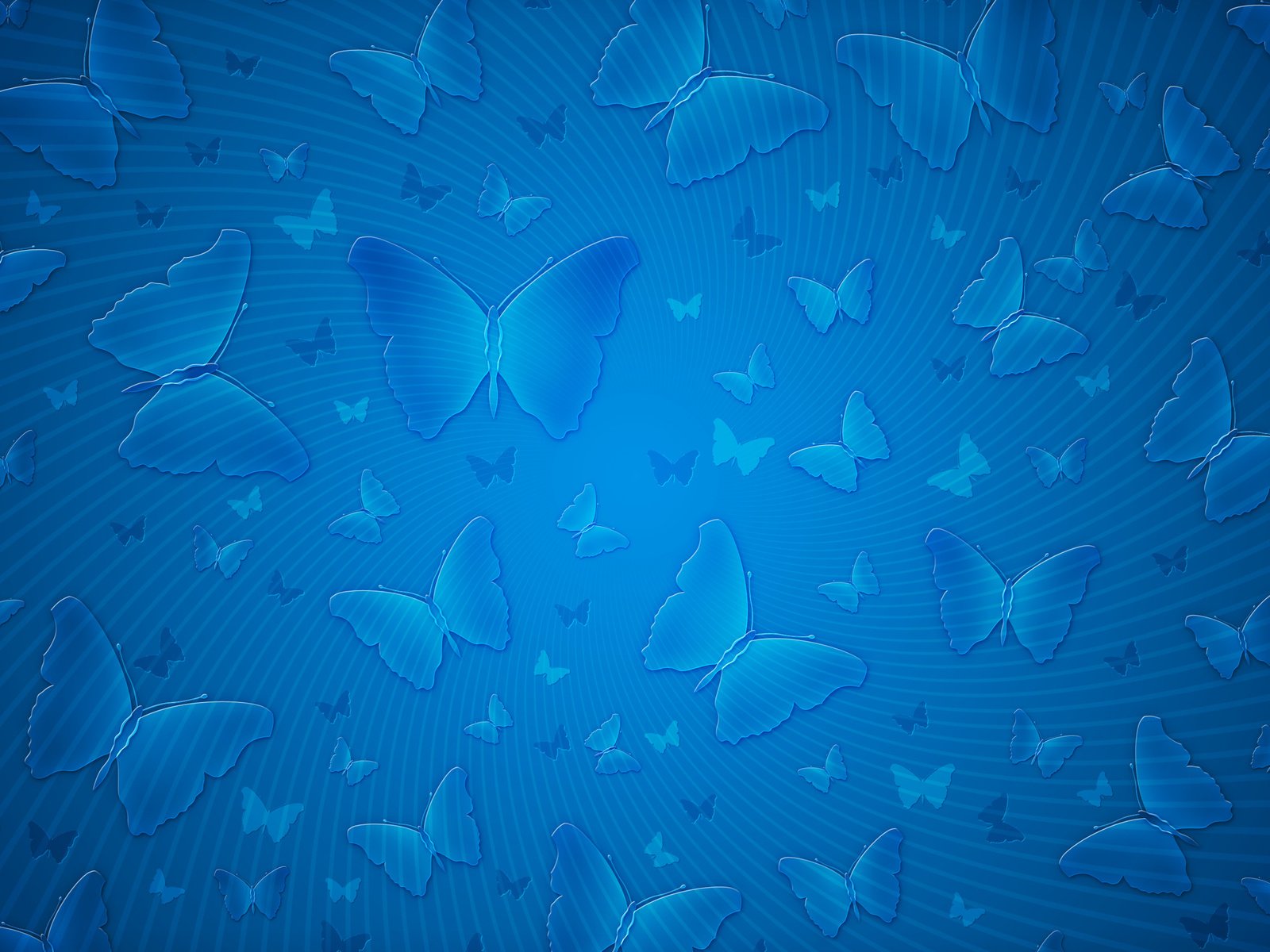 Обои полоски, синий, бабочки, strips, blue, butterfly разрешение 2560x1600 Загрузить