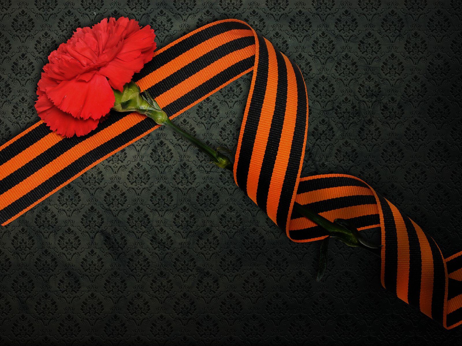 Обои день победы, георгиевская лента, 9 мая, гвоздика, victory day, st. george ribbon, may 9, carnation разрешение 1920x1200 Загрузить