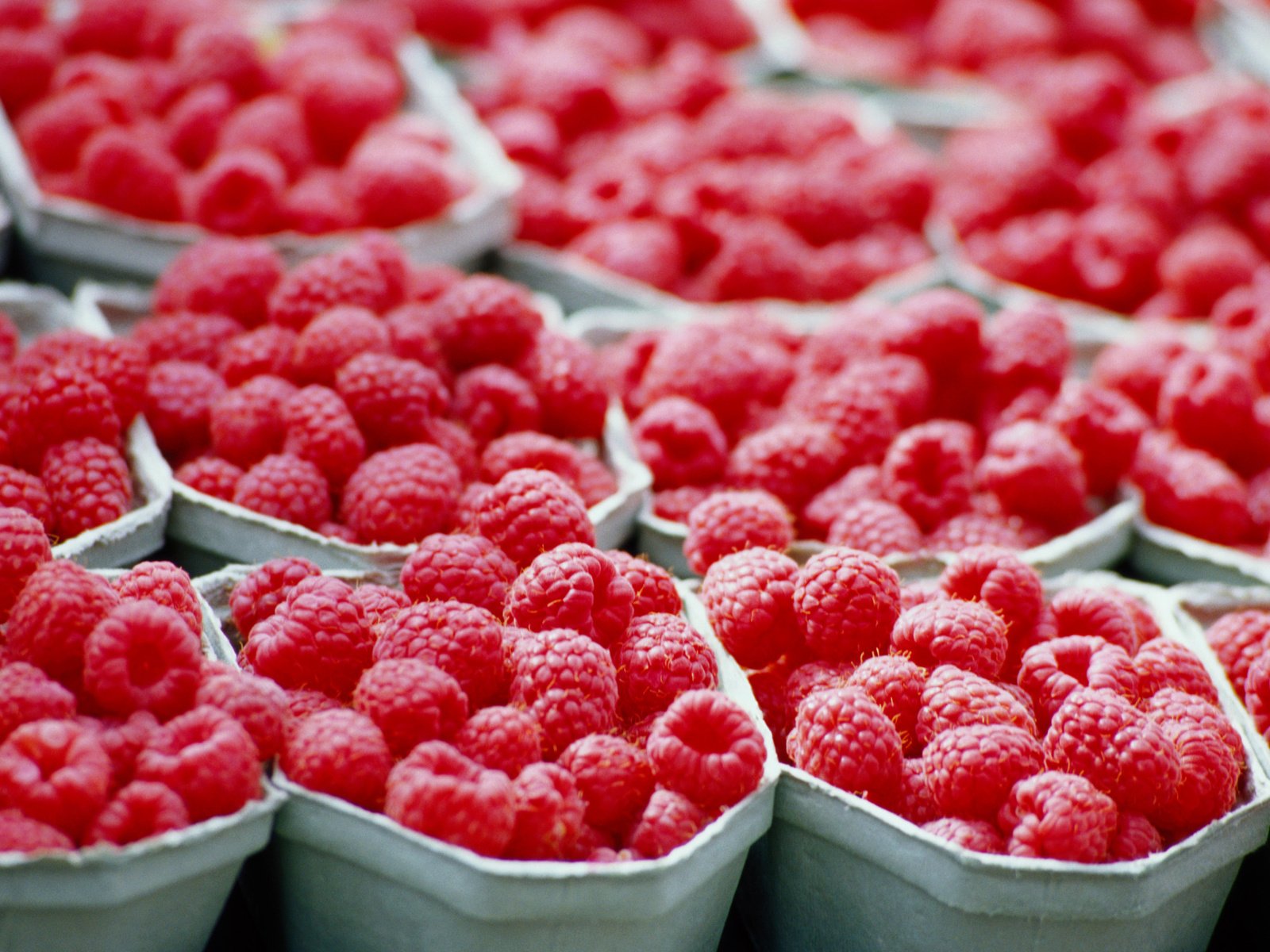 Обои вкус, малина, красный, ягоды, taste, raspberry, red, berries разрешение 2560x1600 Загрузить