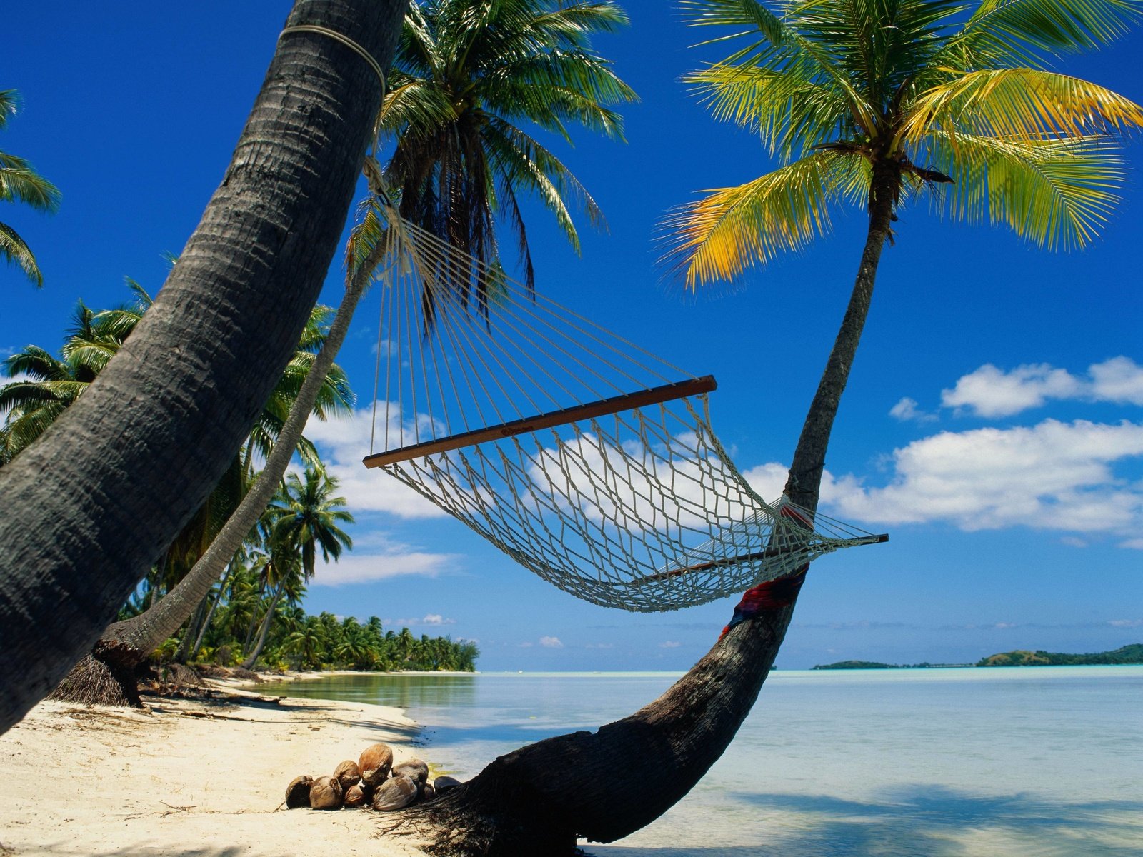 Обои пальмы, релакс, гамак, лагуна, palm trees, relax, hammock, laguna разрешение 4096x3337 Загрузить