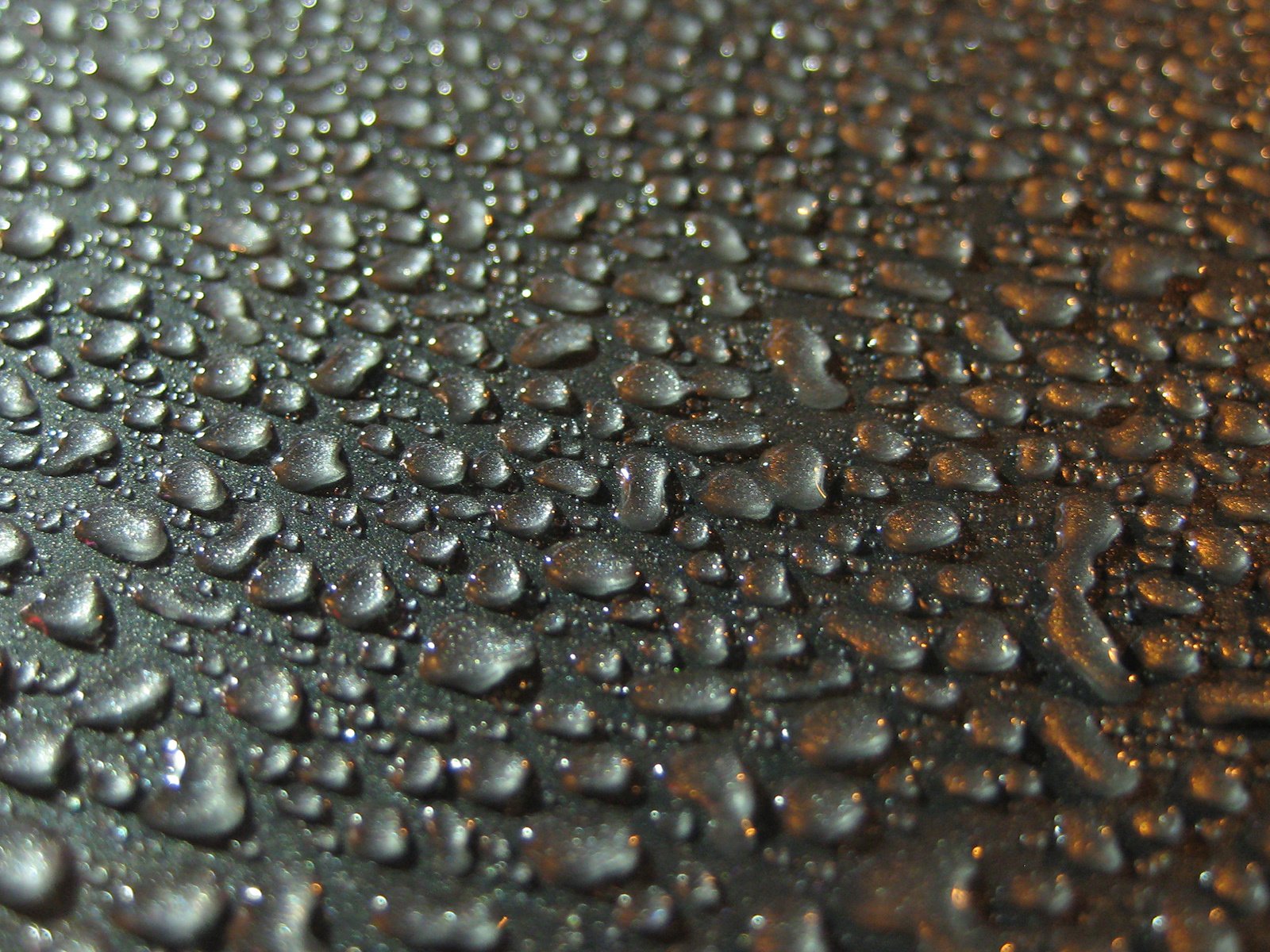 Обои вода, капли, water, drops разрешение 1920x1200 Загрузить