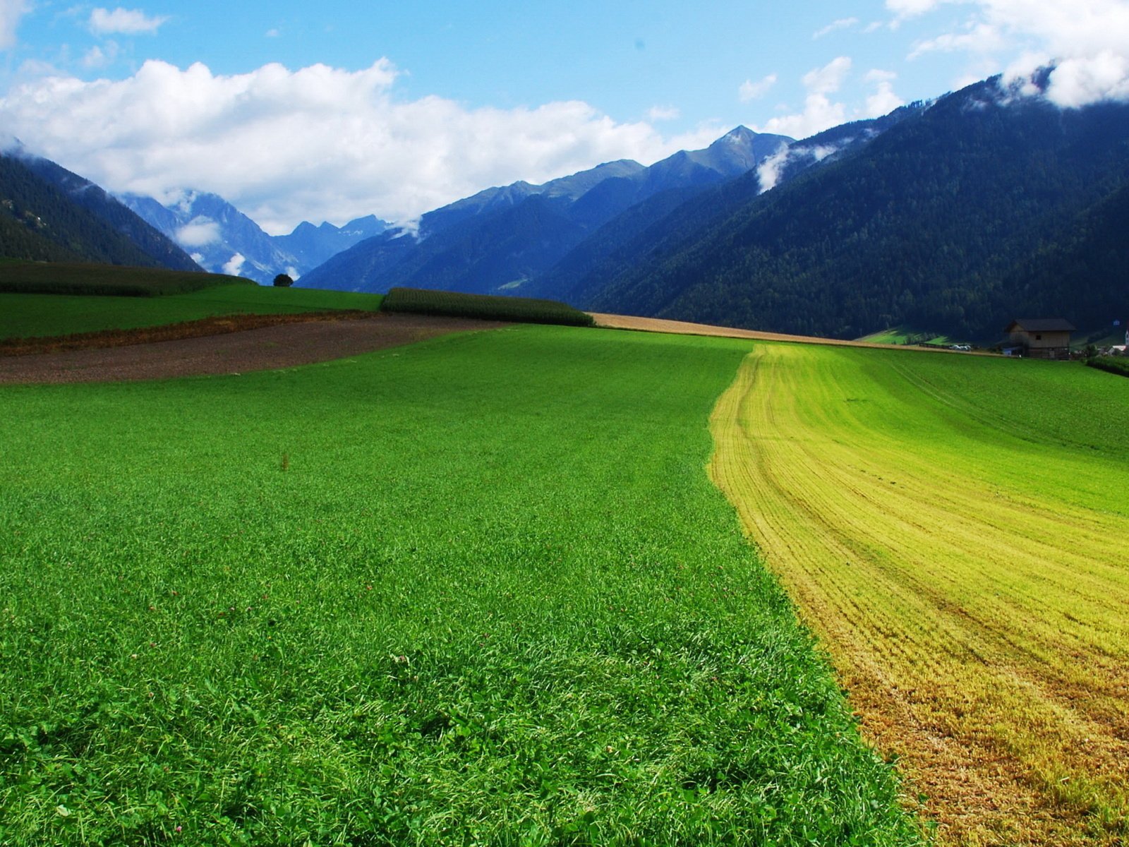 Обои небо, дорога, трава, горы, поле, the sky, road, grass, mountains, field разрешение 1920x1200 Загрузить