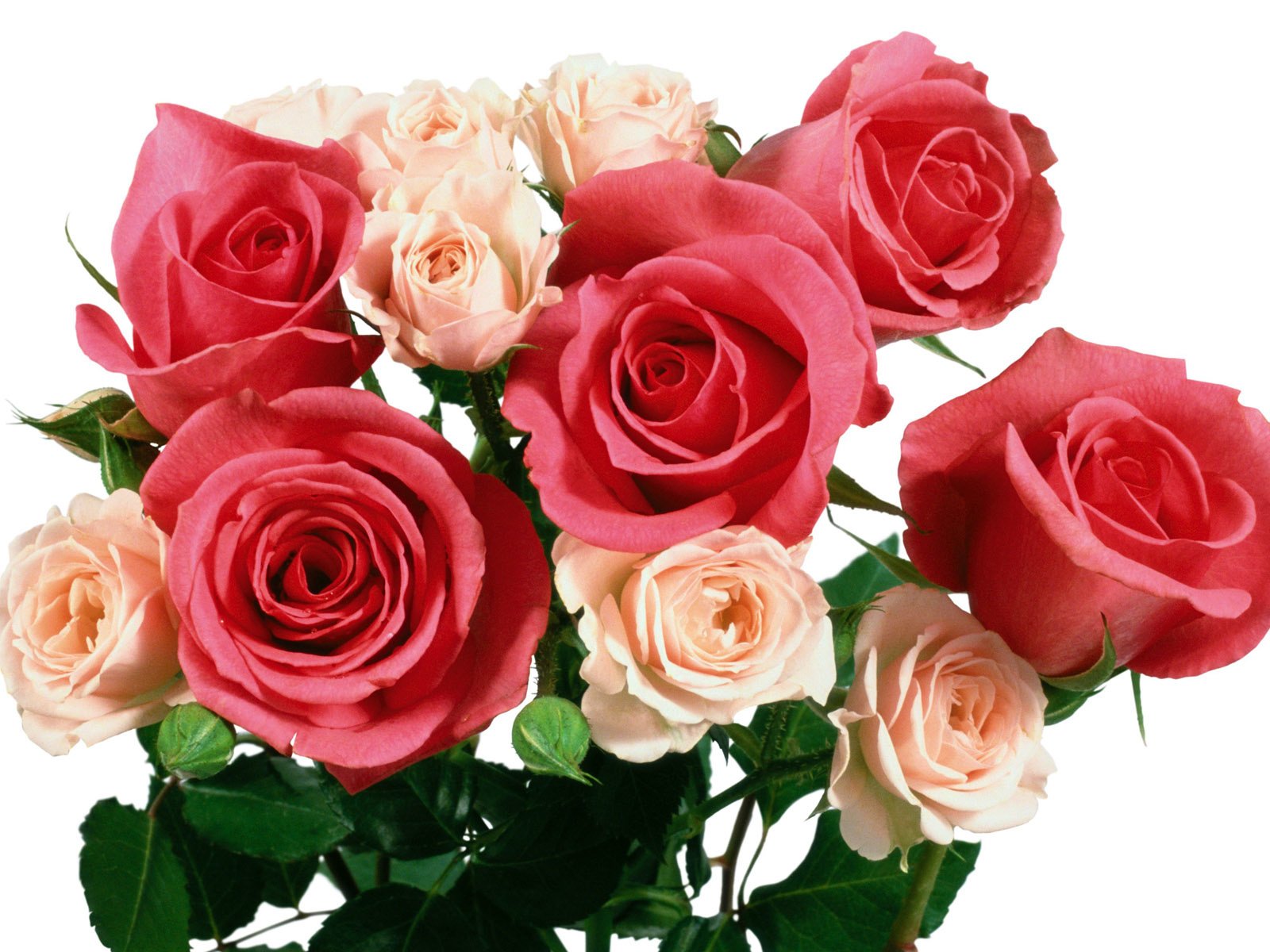 Обои роза, букет, rose, bouquet разрешение 1920x1200 Загрузить