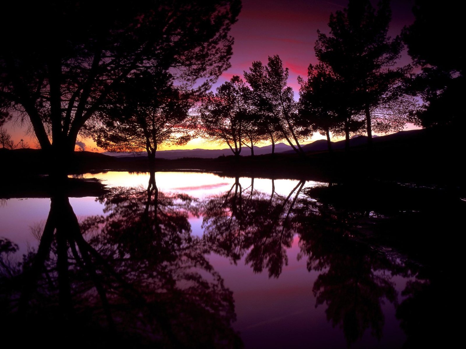 Обои деревья, вечер, озеро, закат, отражение, trees, the evening, lake, sunset, reflection разрешение 1999x1333 Загрузить