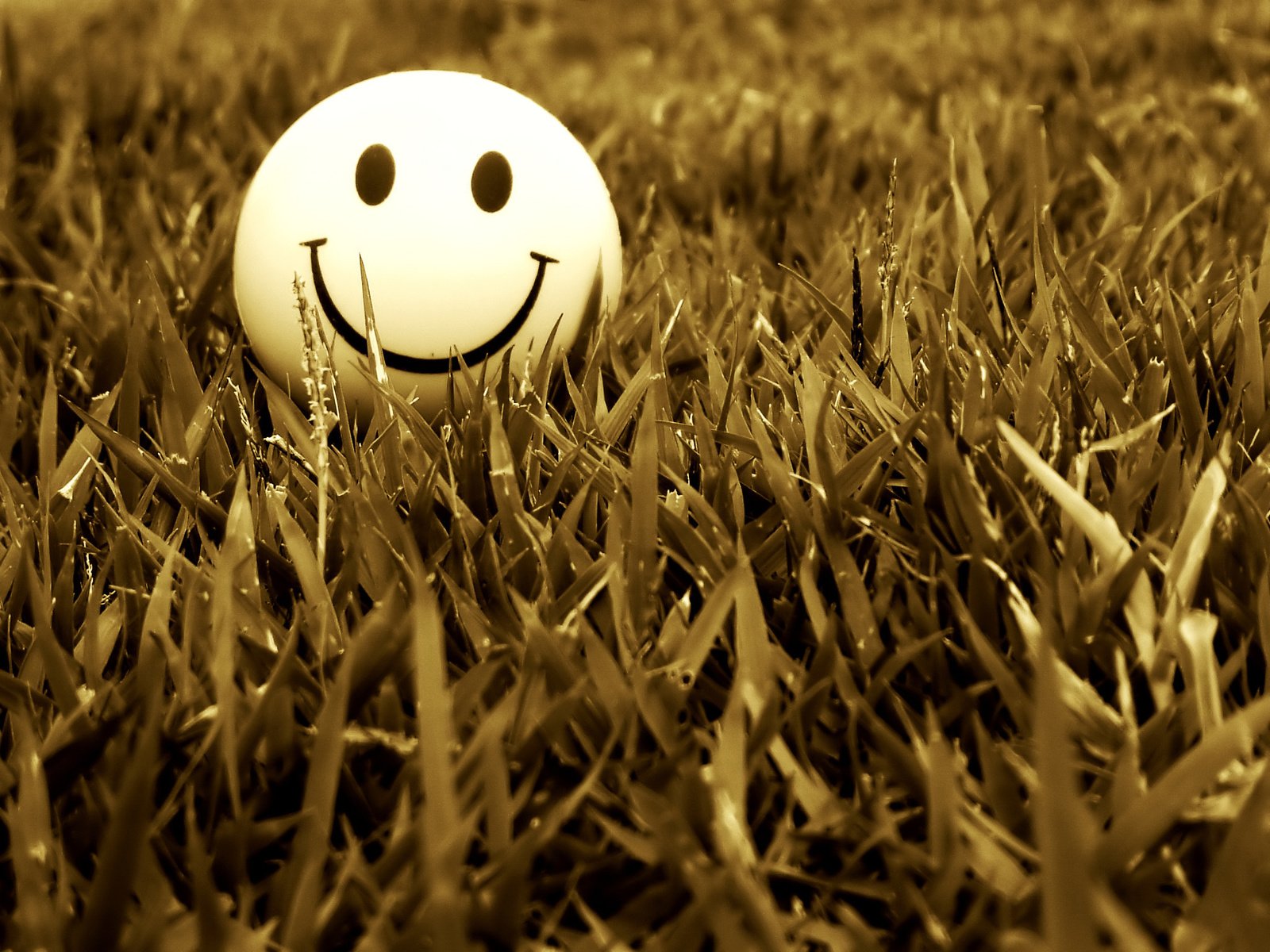 Обои трава, настроение, улыбка, смайл, grass, mood, smile разрешение 2048x1536 Загрузить